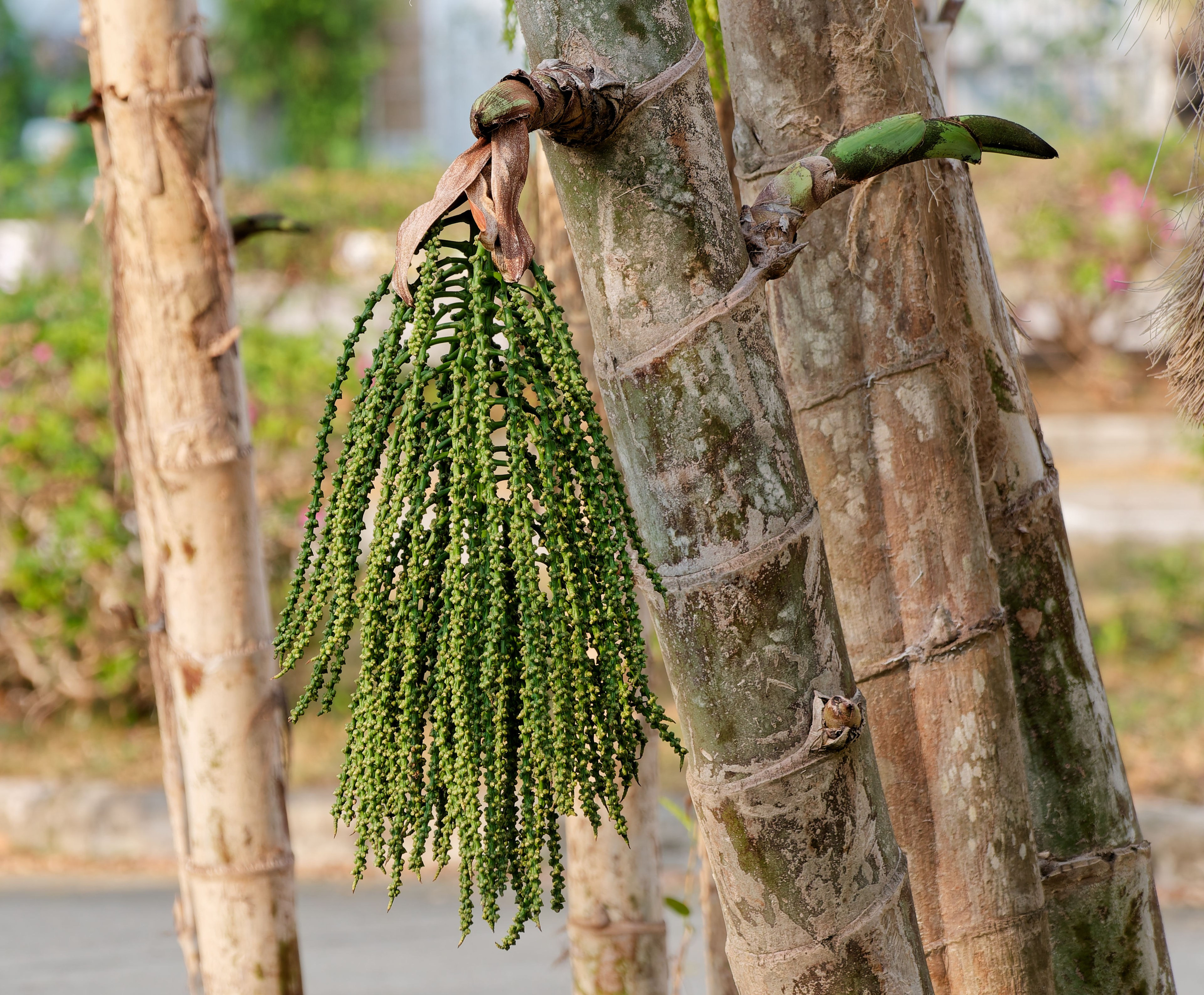Хайнань 2026, первые впечатления. Фотопрогулки по Миру