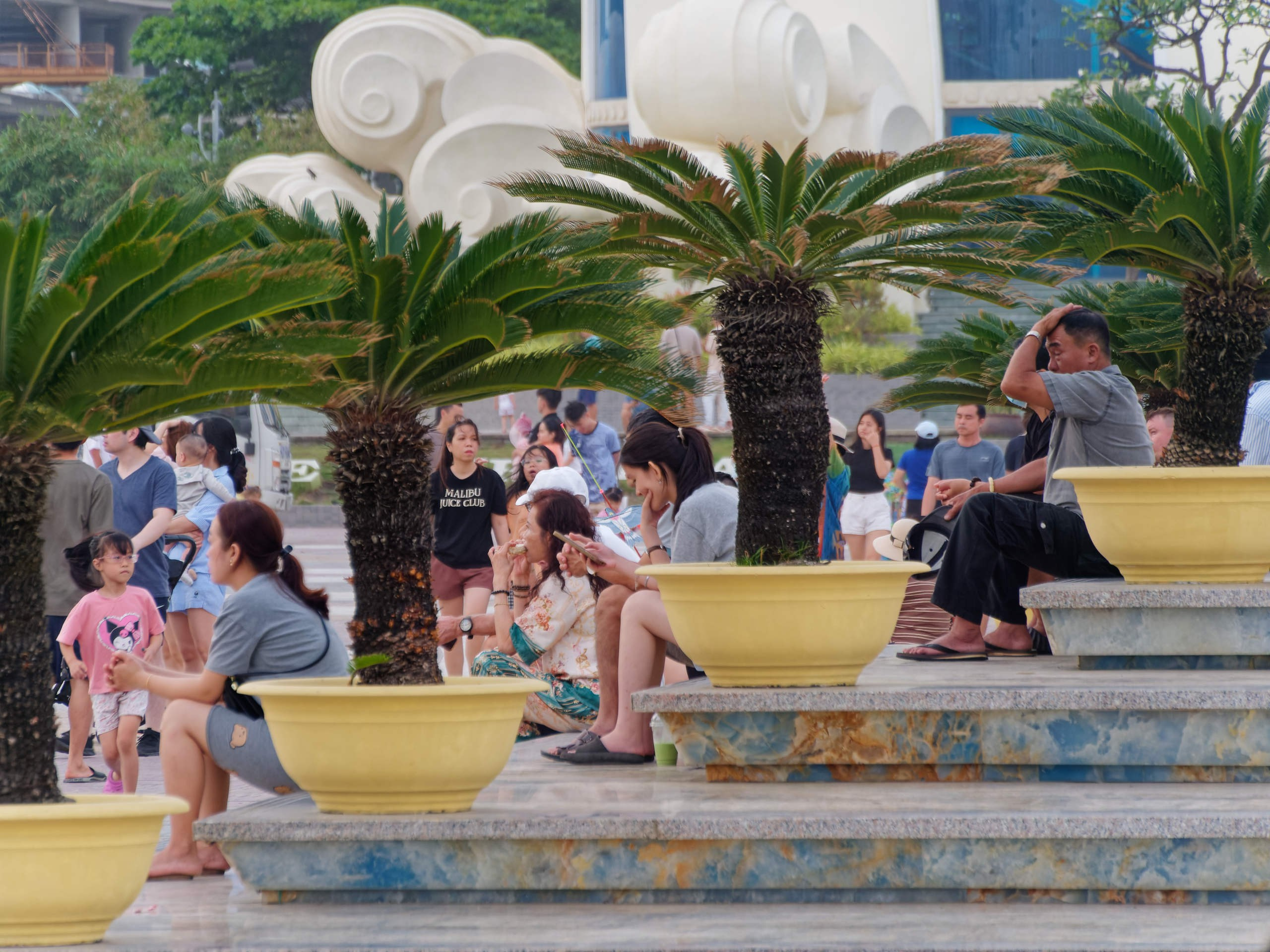 Нячанг 2025 (3). Избранные фотографии