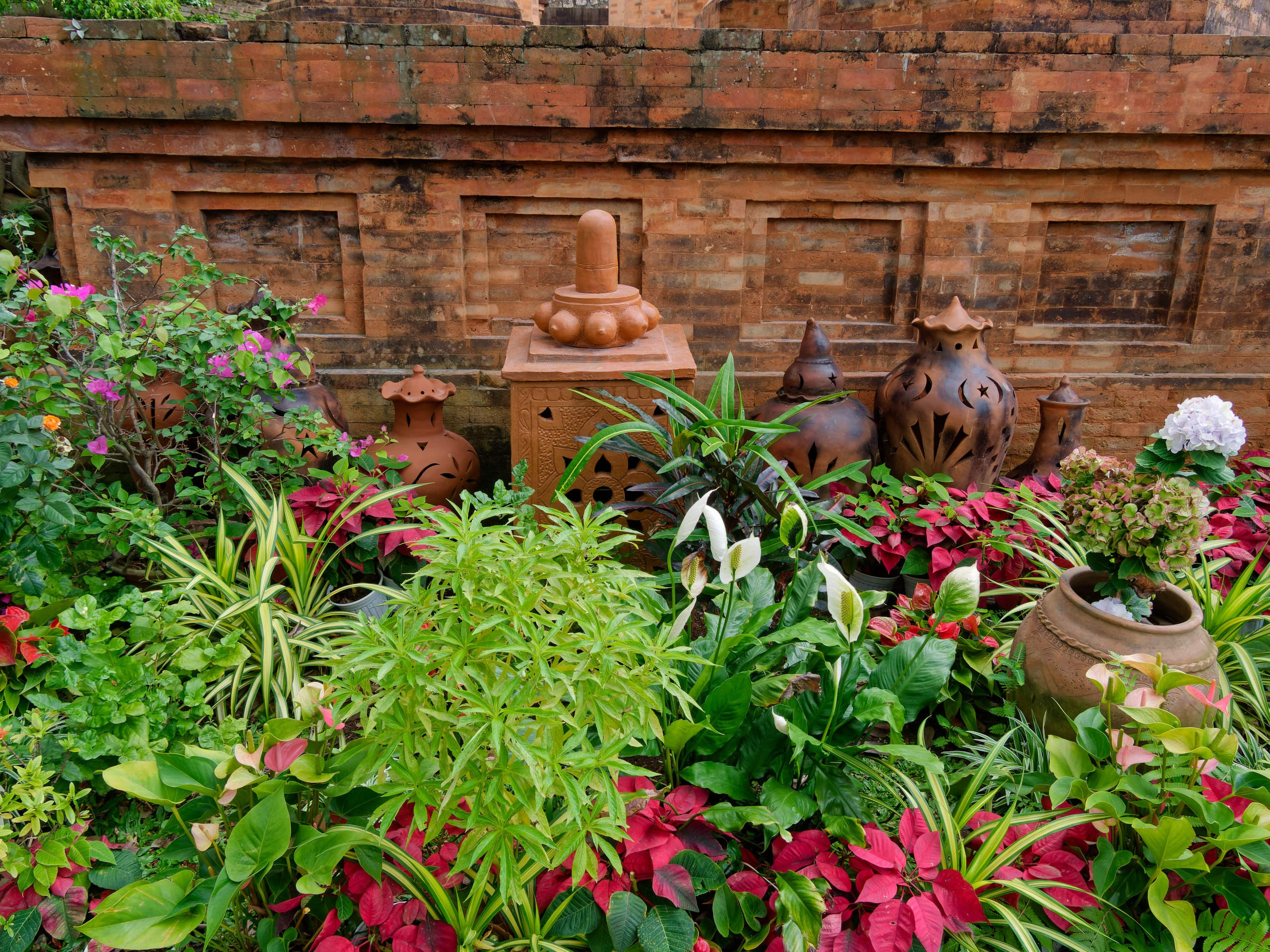 Нячанг 2025 (4). Избранные фотографии