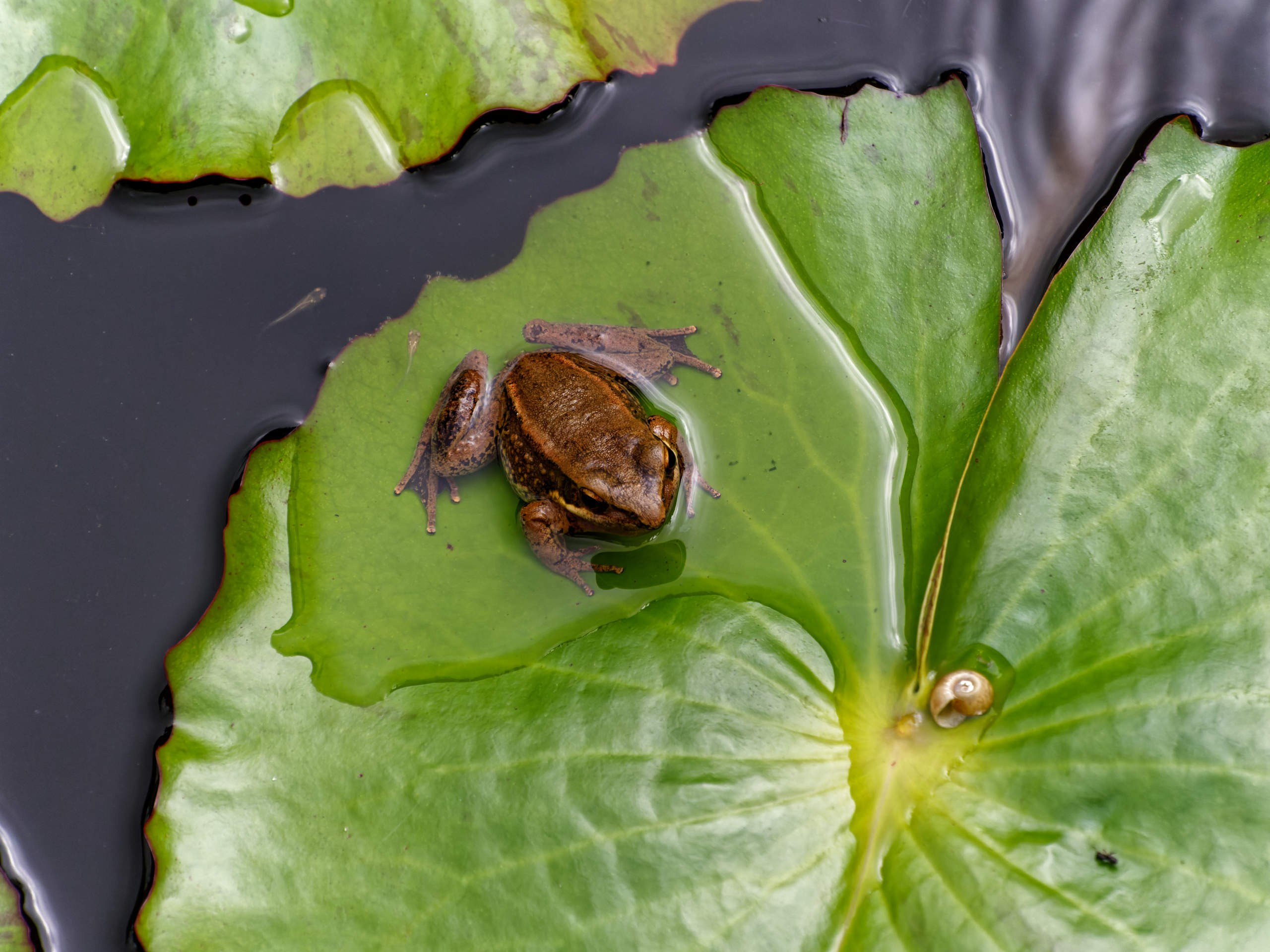 Далат 2023. Избранные фотографии