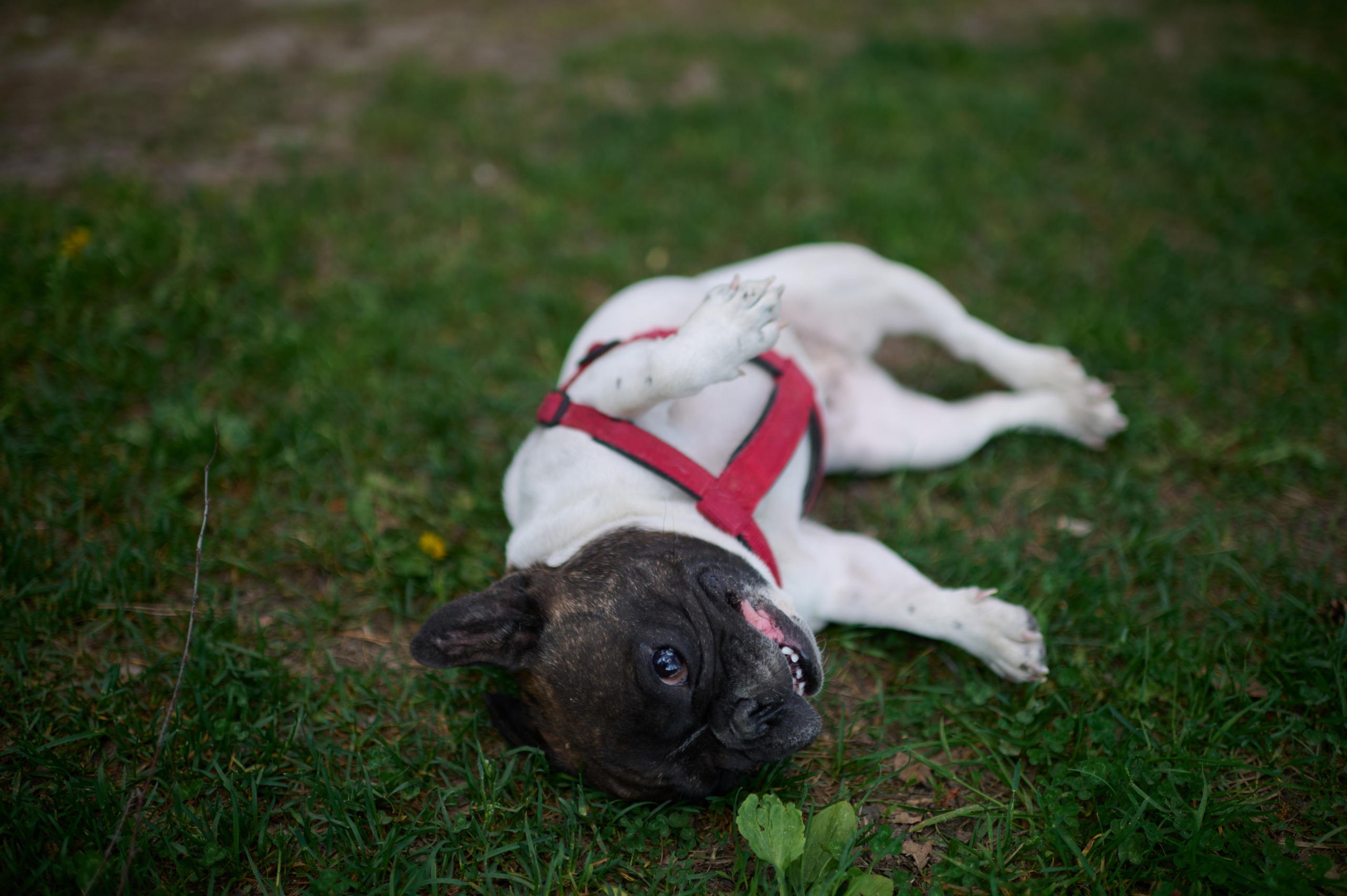 Май р. Нерская. Главная