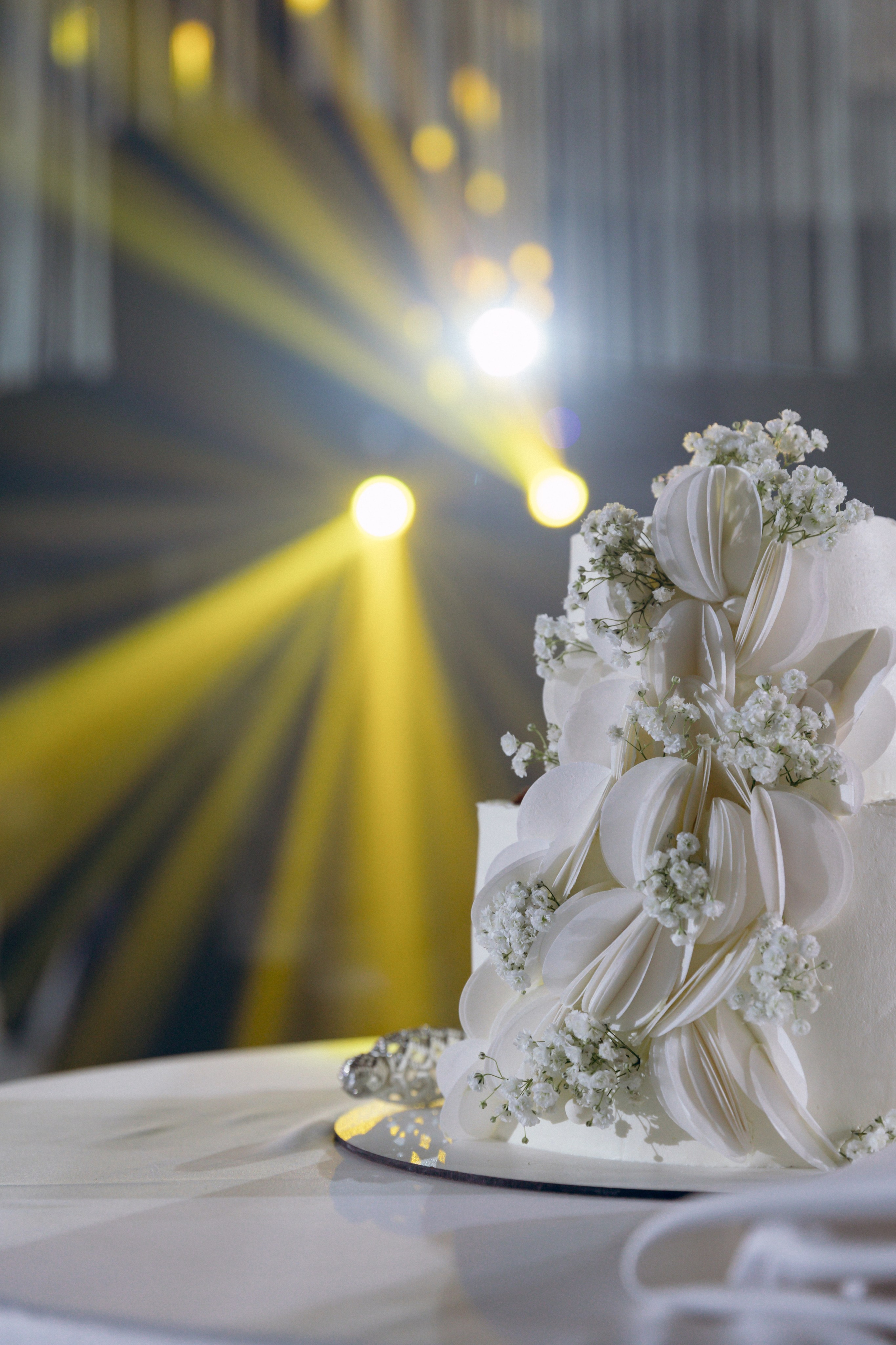 Дмитрий и Снежана, 1/11/2024. Свадебный  и семейный фотограф в Краснодаре