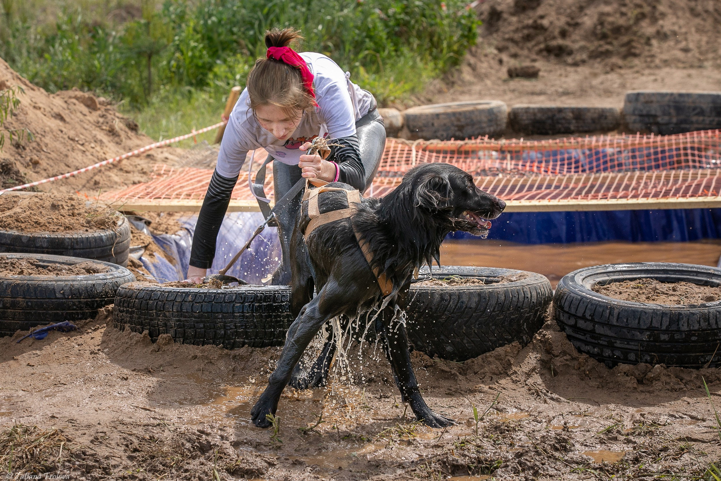 Фоторепортаж с забега с собаками. Фотограф-анималист в Москве и Московской области Татьяна Фролова