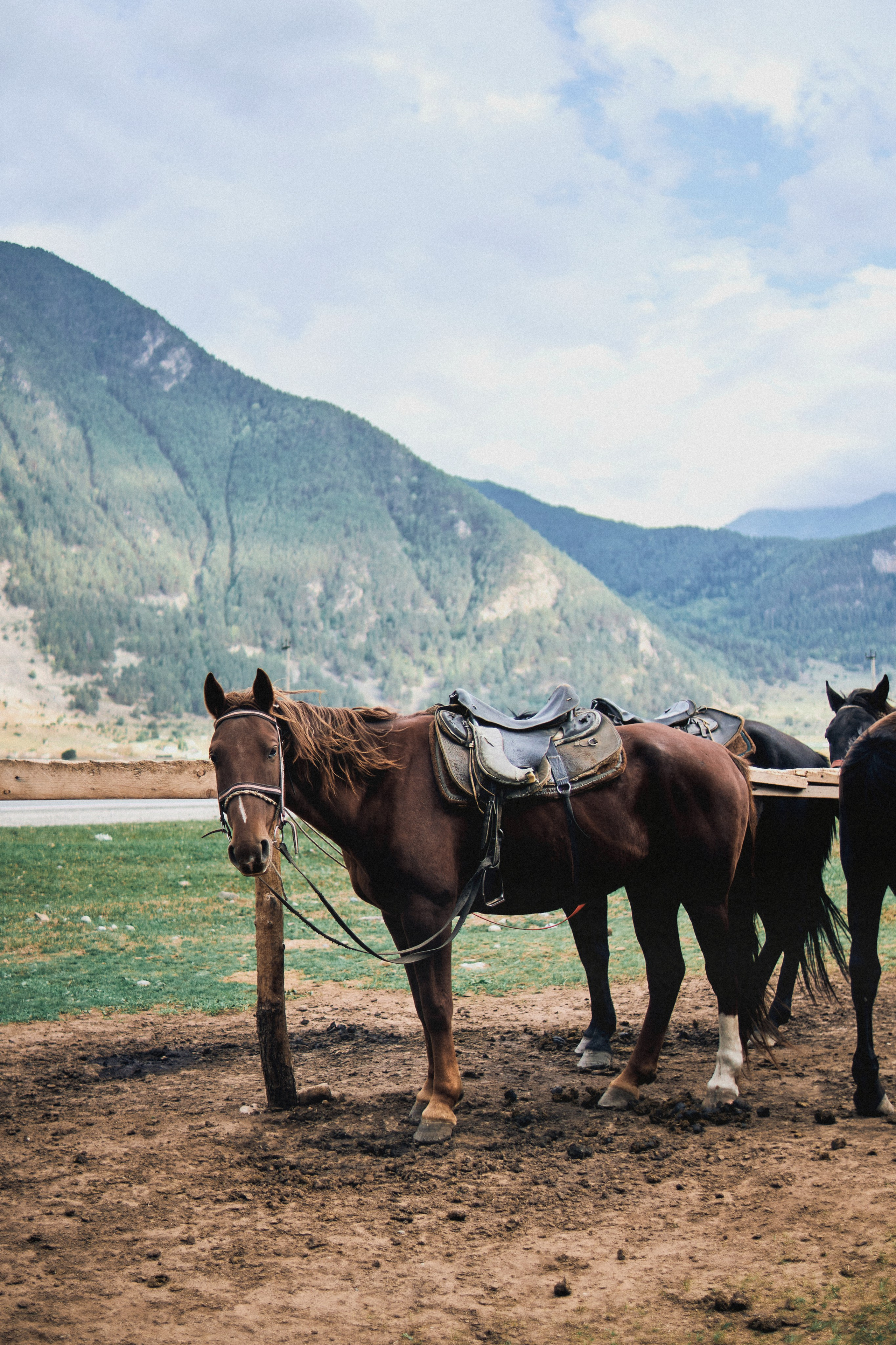 Kavkaz. SHILOVA PHOTO. Шилова Екатерина. Фотограф. Москва
