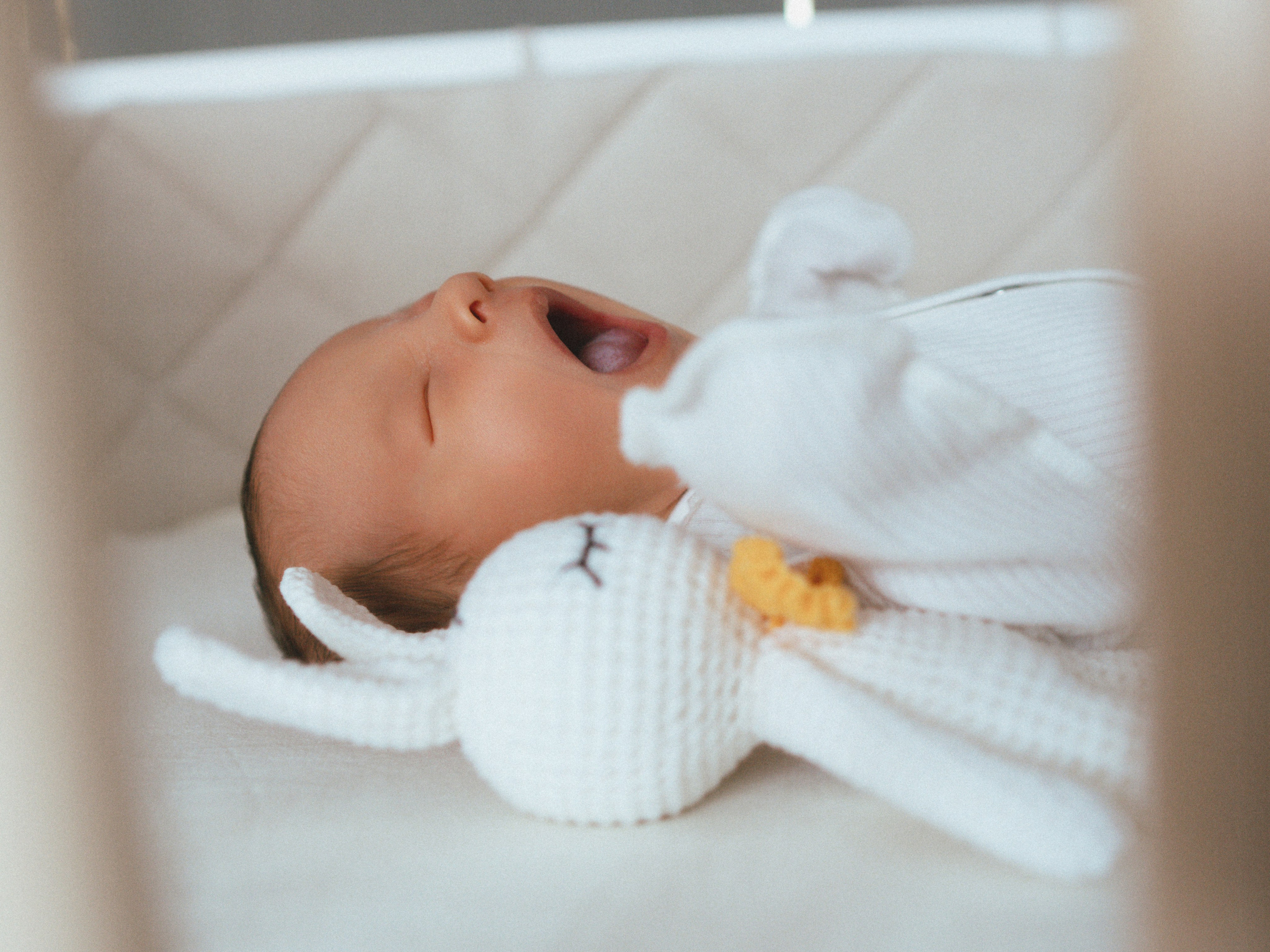 Мироша. SHILOVA PHOTO. Шилова Екатерина. Фотограф. Москва