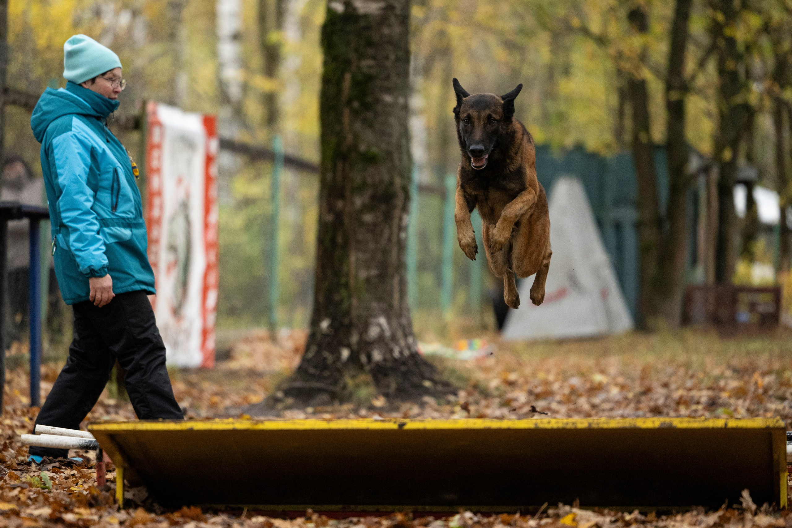 Соревнования по Мондьорингу г. Вологда. Фотограф-анималист Анна Маринич