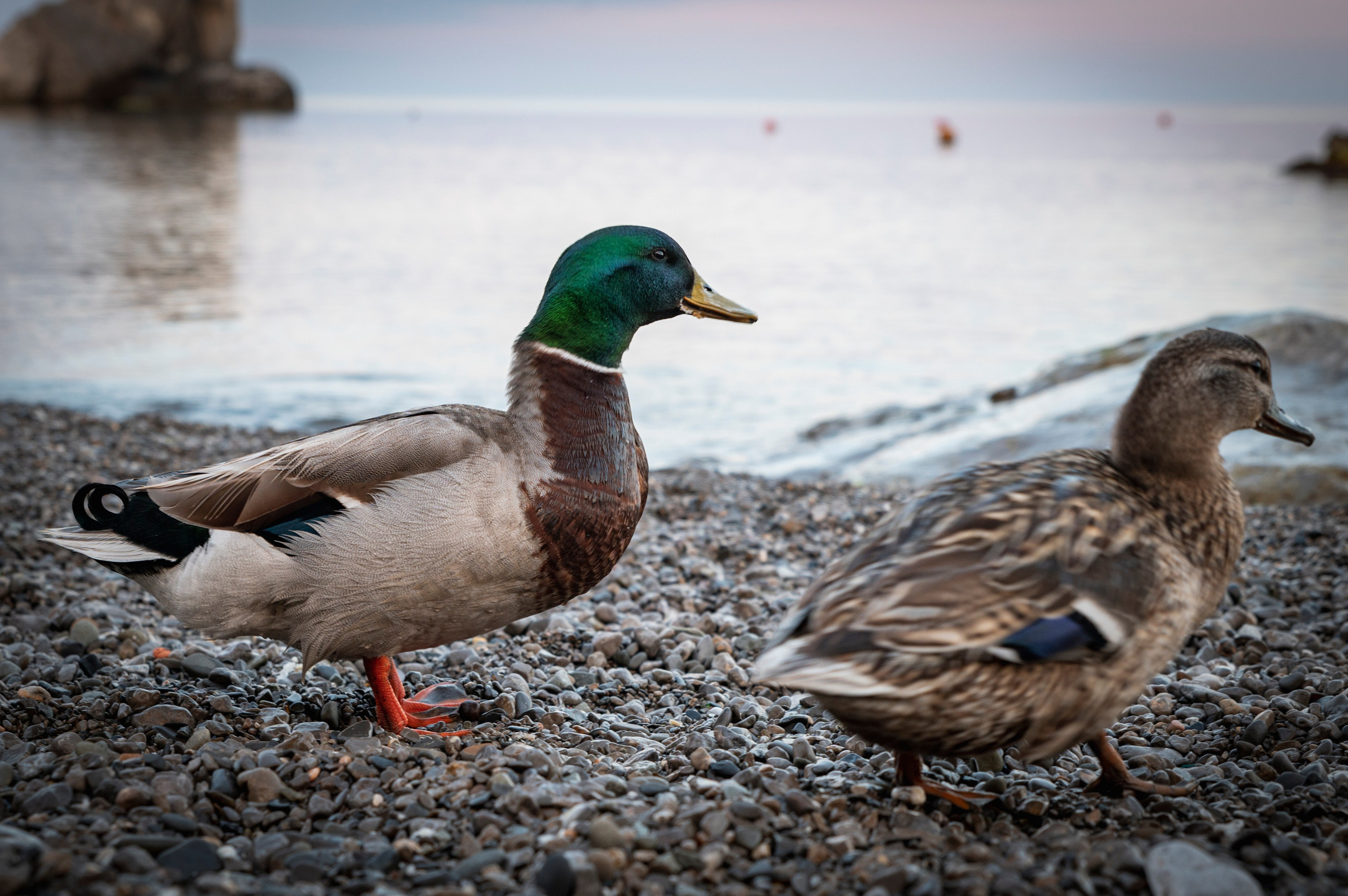 Крым май 2022. Фотограф Роман Адлер