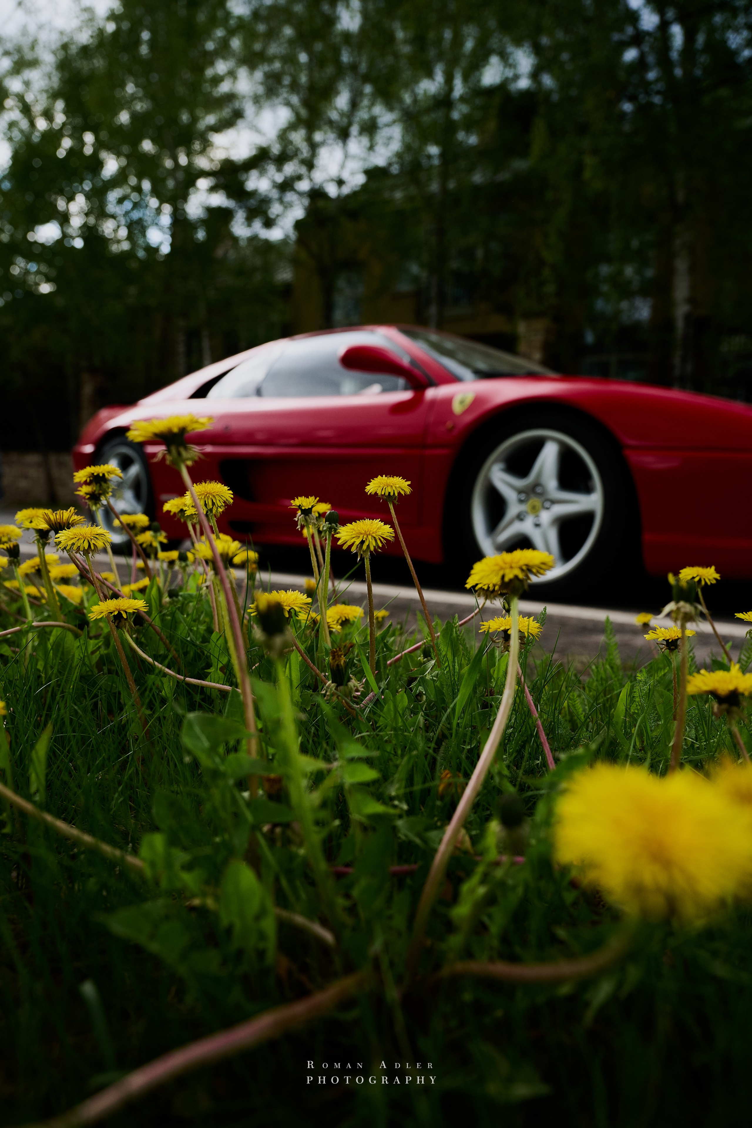 Ferrari 355 GTS. Фотограф Роман Адлер