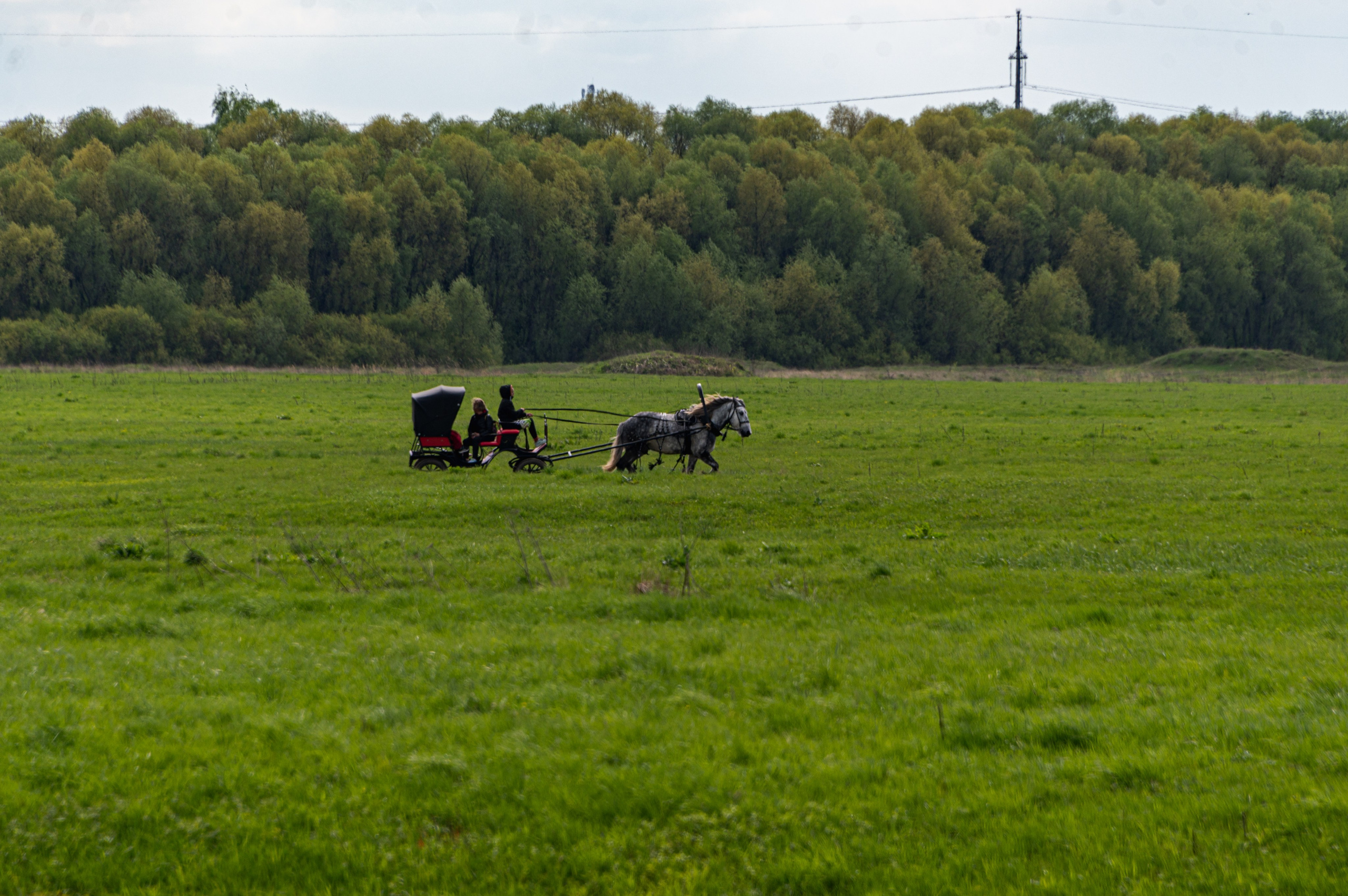 Храм на Нерли. Фотограф Роман Адлер
