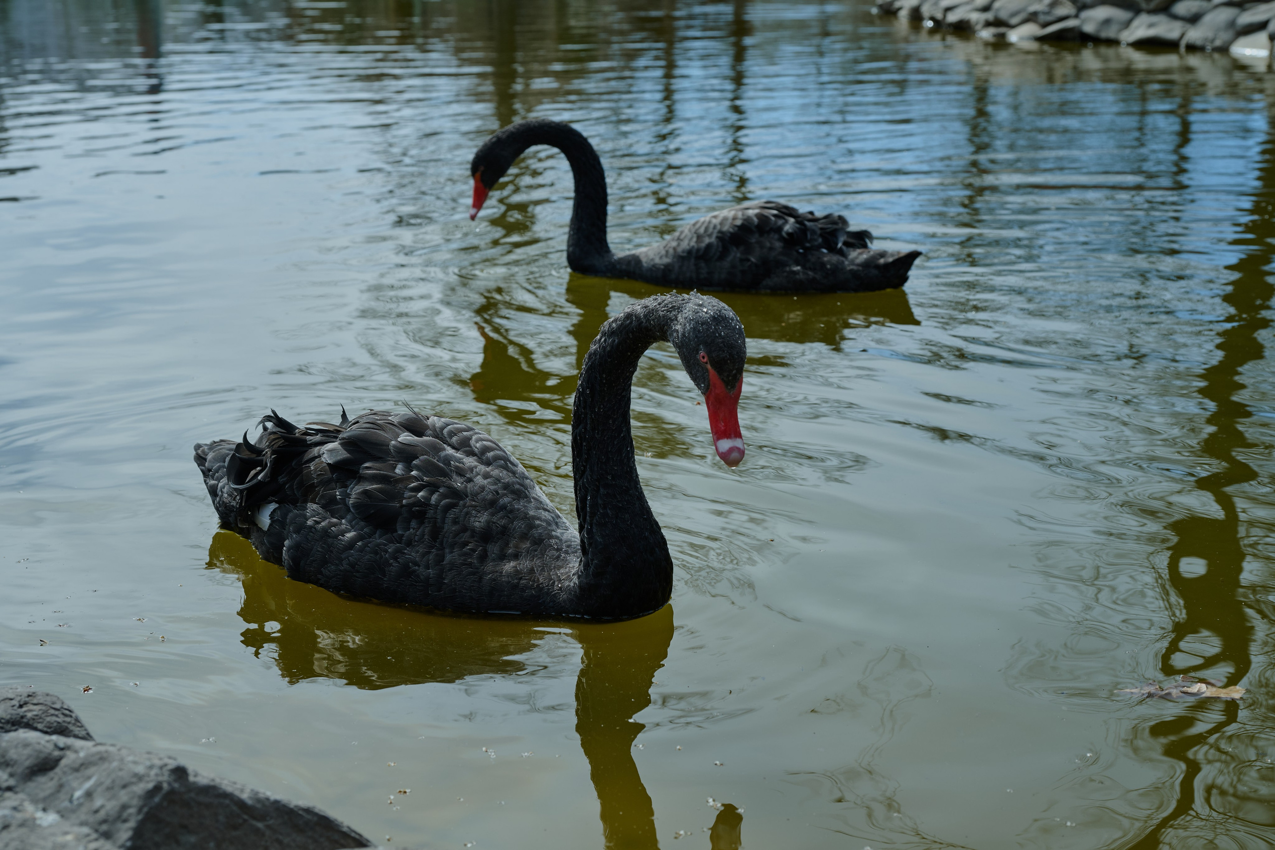 Мелитополь. Россия. Апрель 2024. Фотограф Роман Адлер