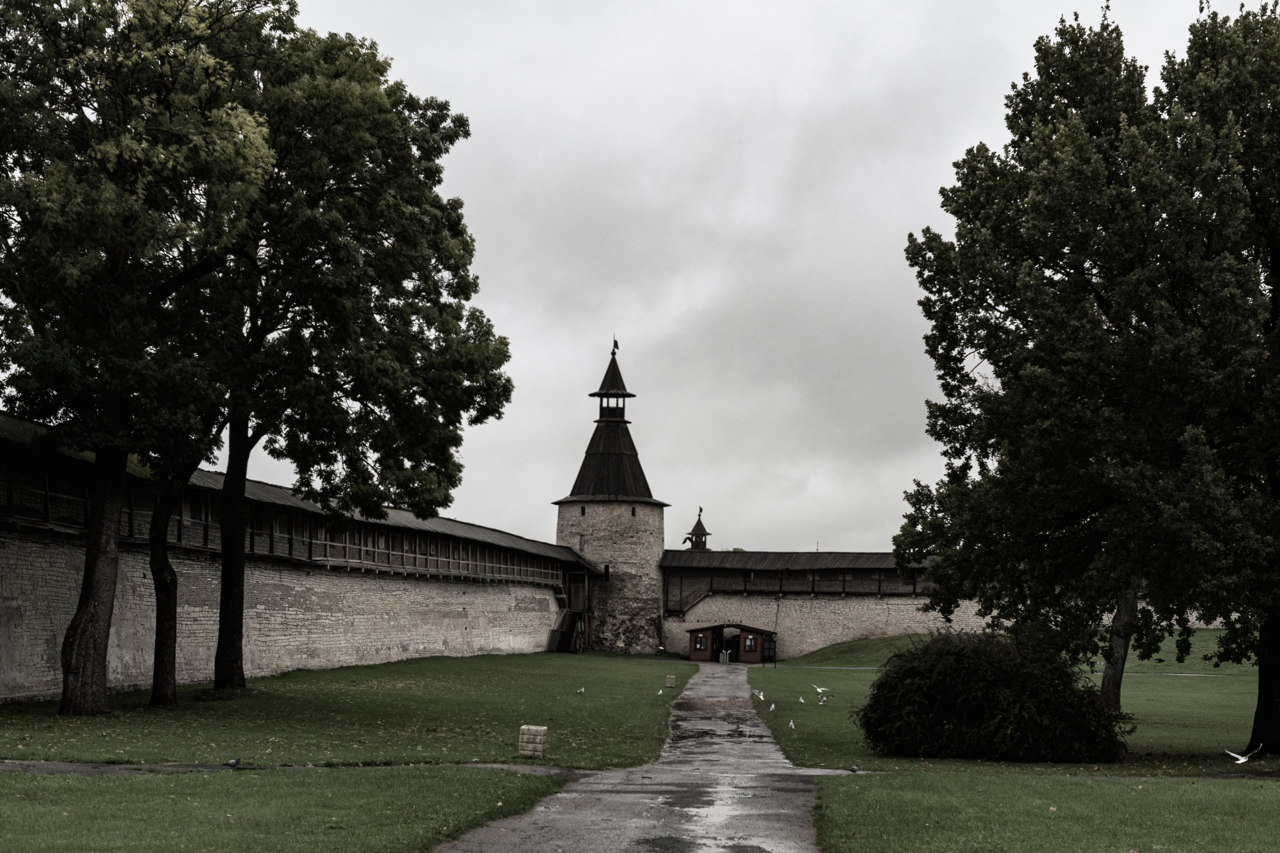 Псков. Октябрь 2023. Фотограф Роман Адлер