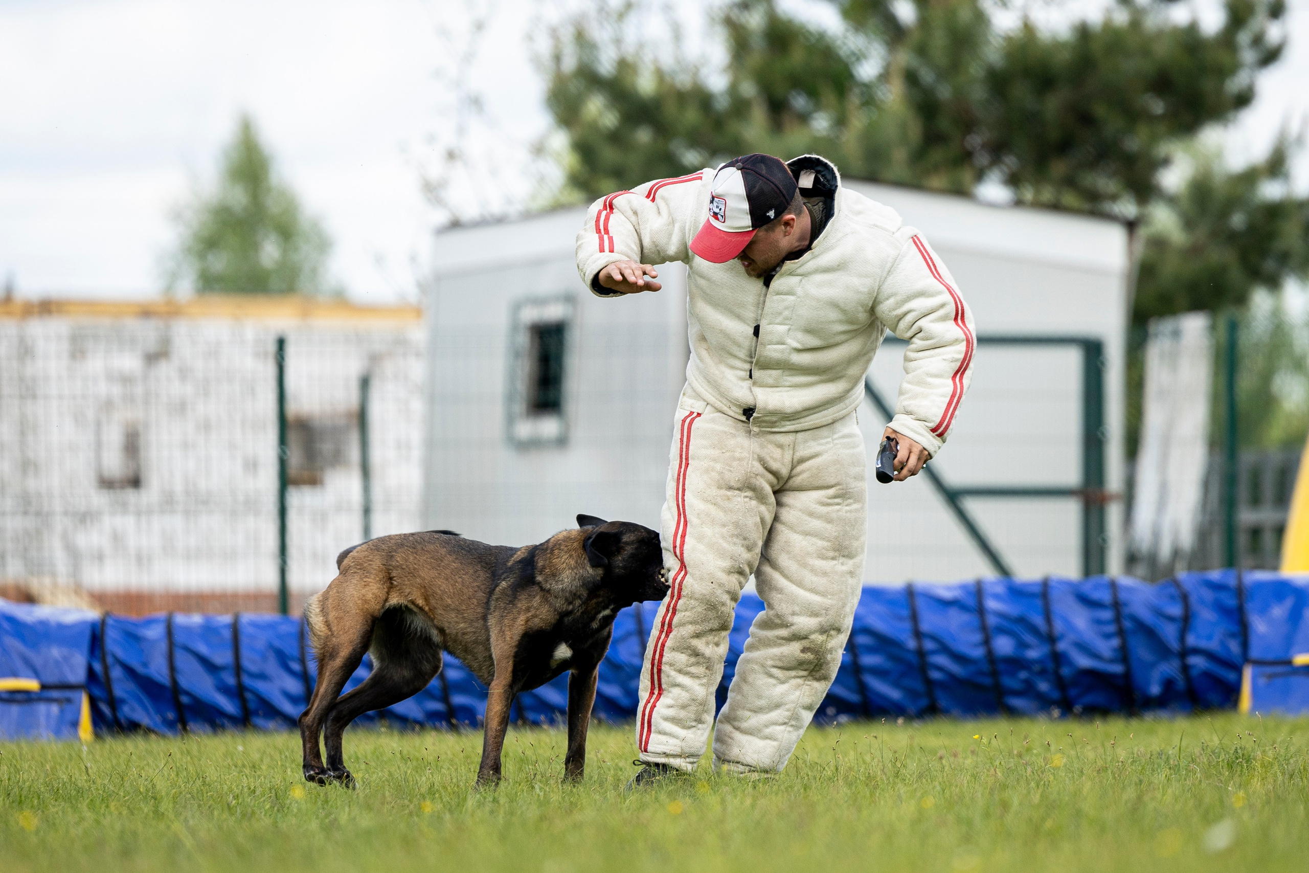 Испытания по мондьорингу в Нижнем Новгороде. Фотограф-анималист Анна Маринич