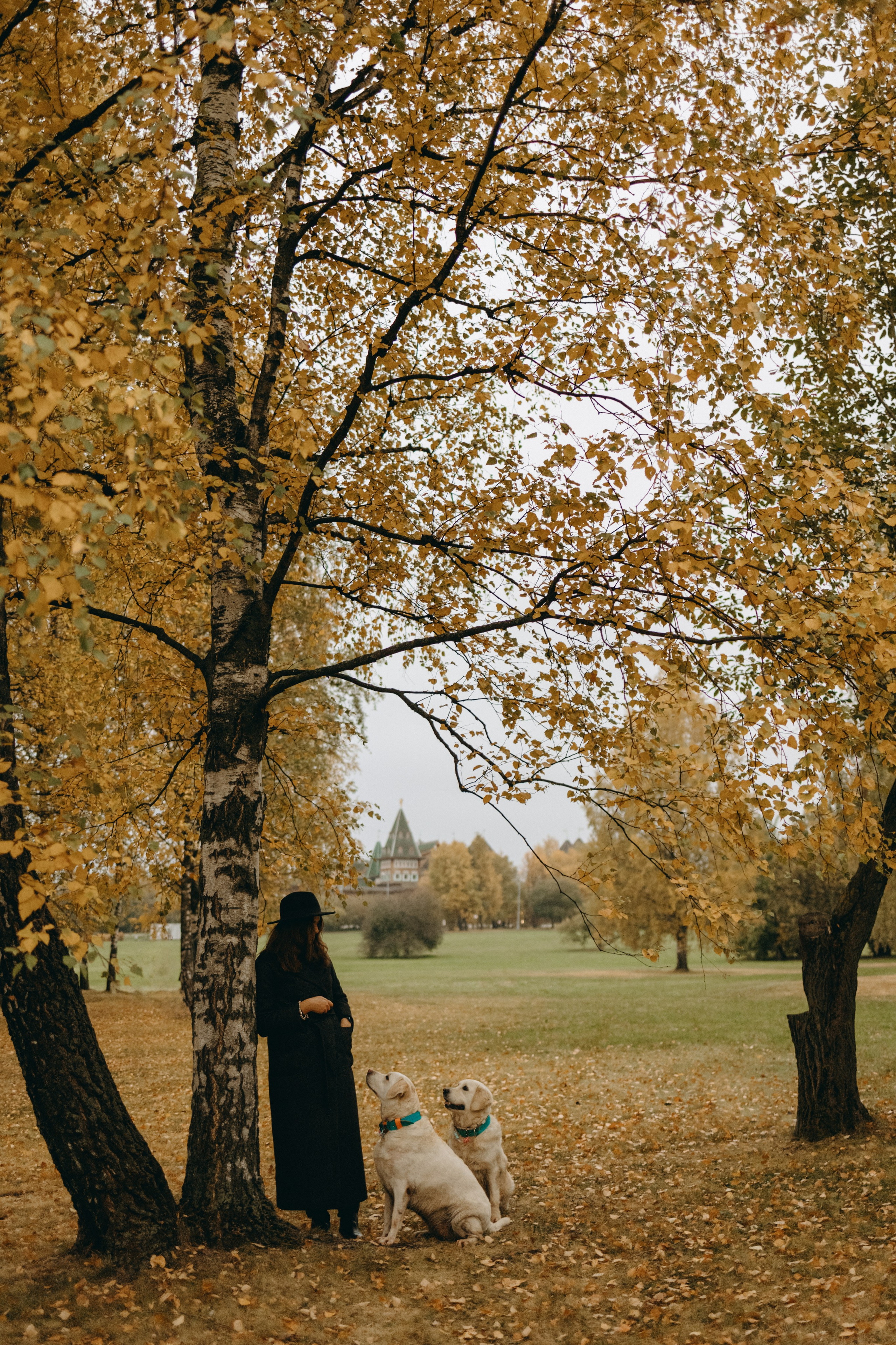 Женя и ее девочки. Фотограф — Анималист | Санкт-Петербург