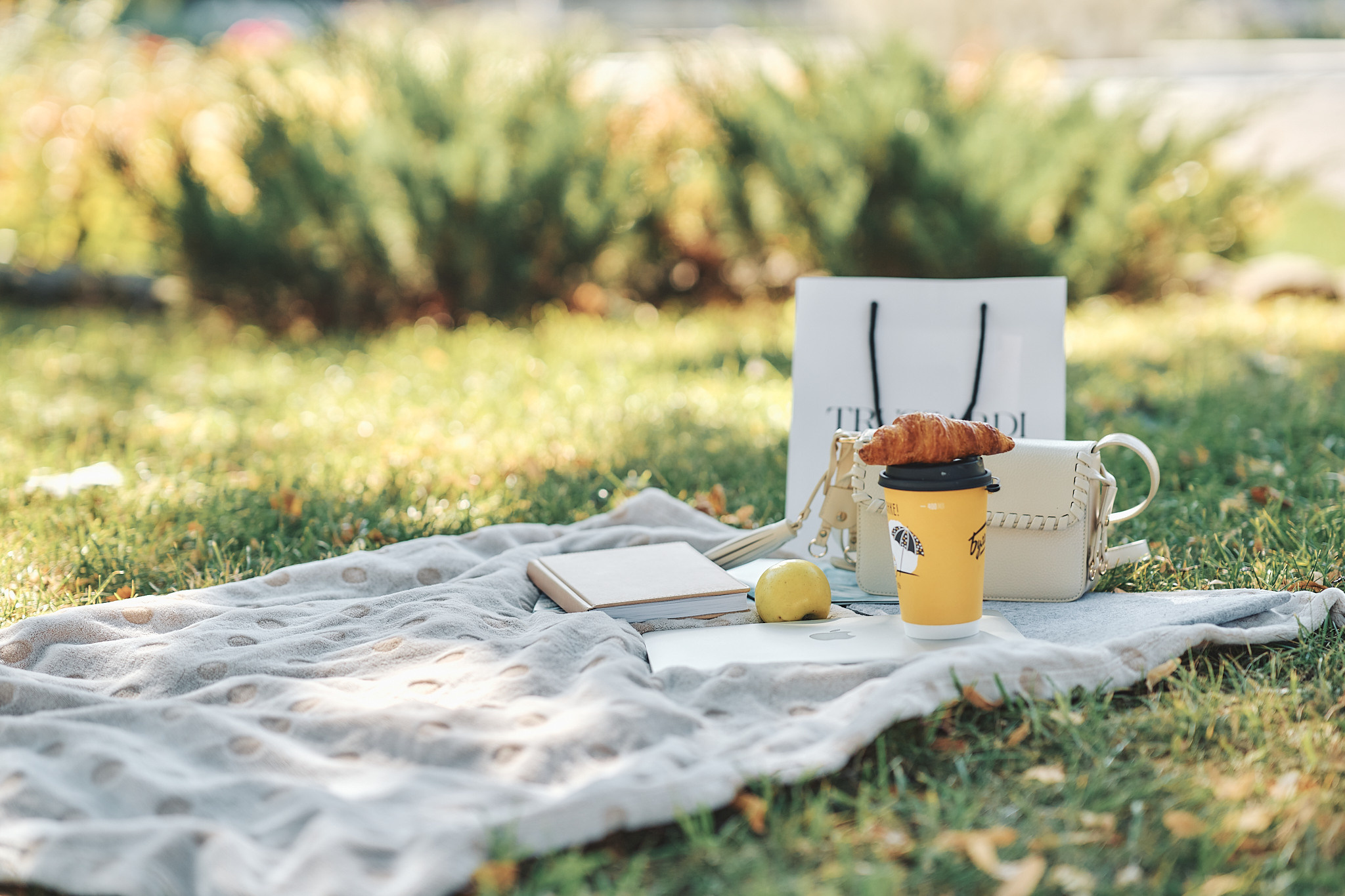 Парк Горького фотоконтент для Таргетолога. Agadora_photo — Фотограф в Москве и Московской области