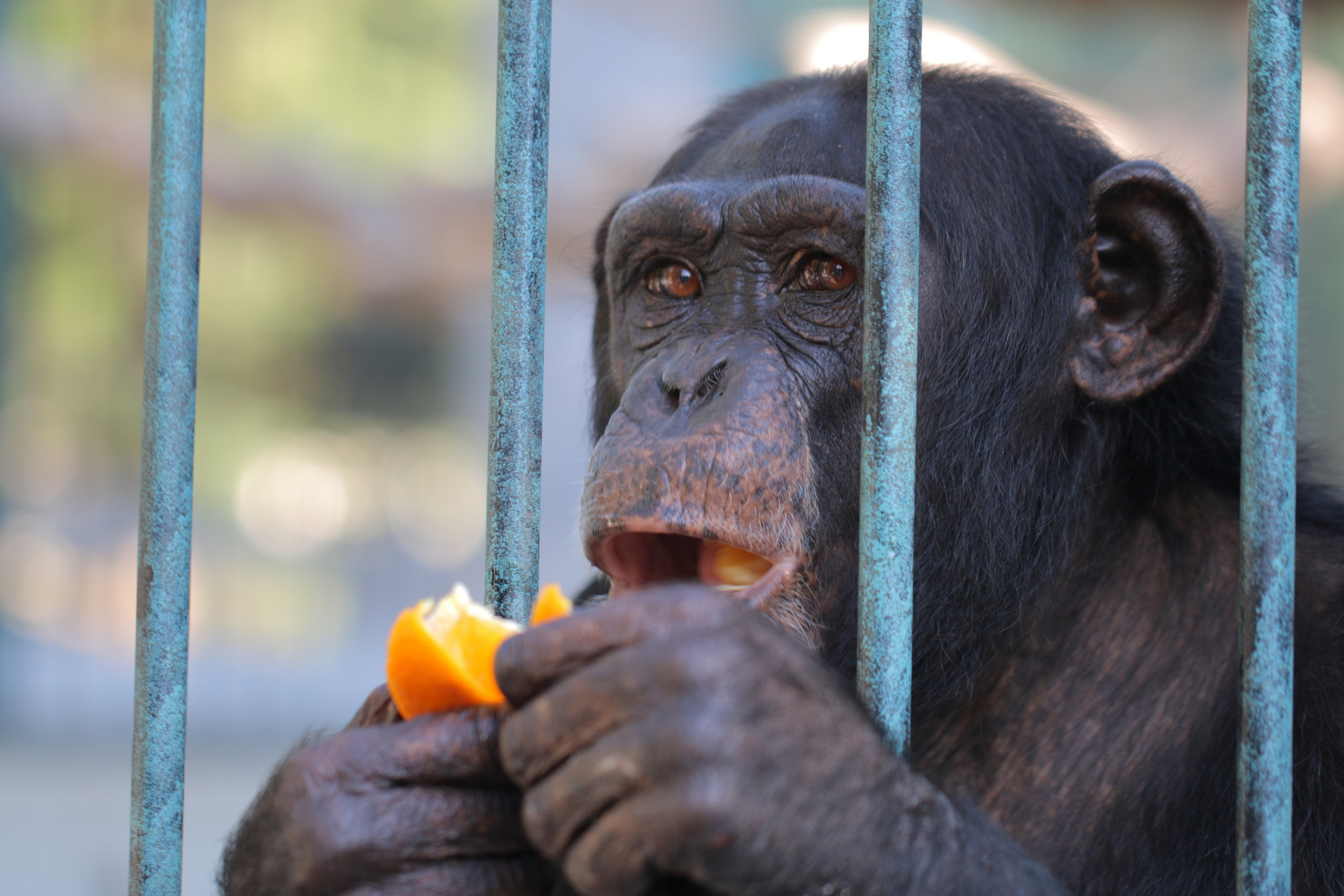 Крым 2018 г. Улица, люди, жизнь…