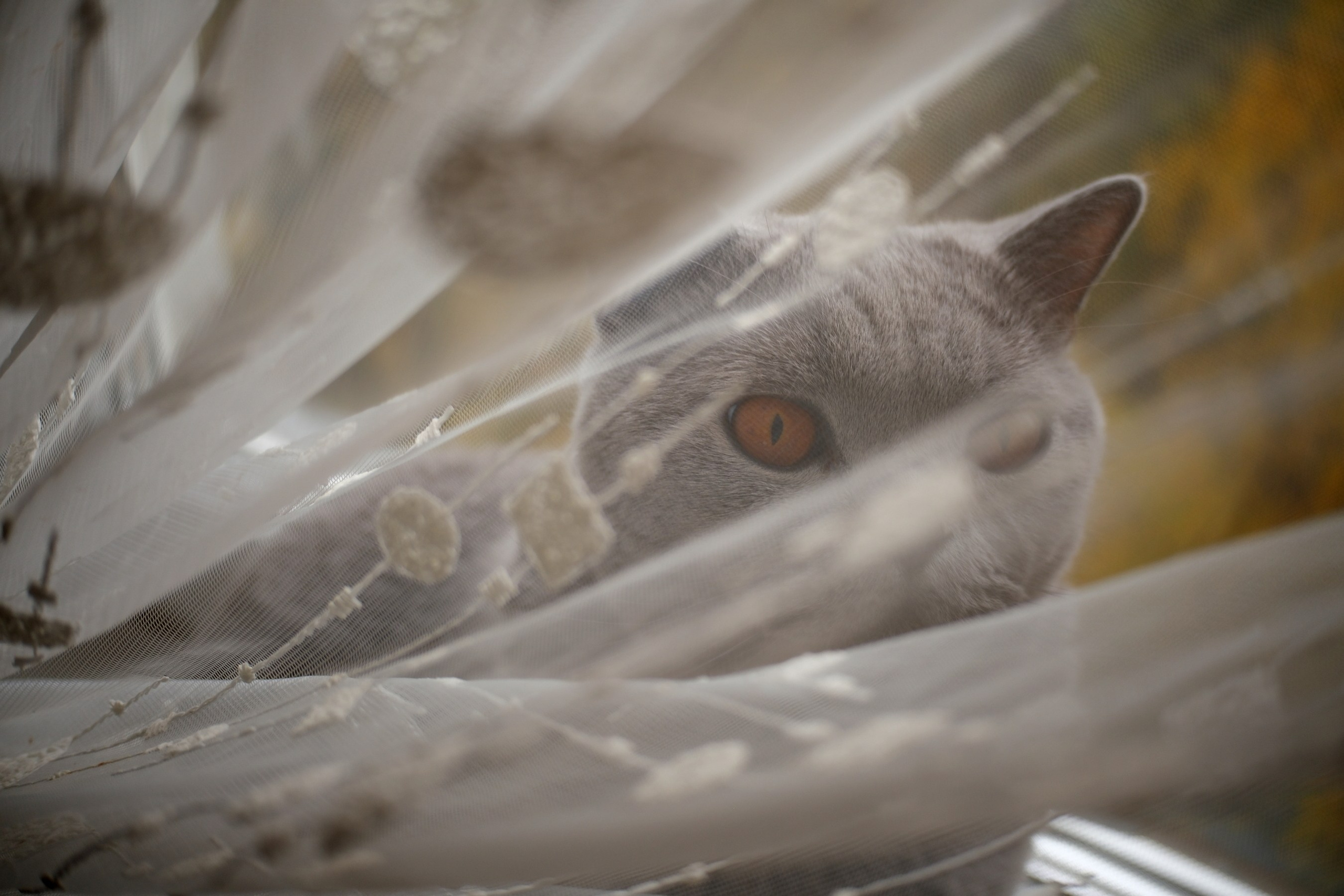 Улица, люди, жизнь…