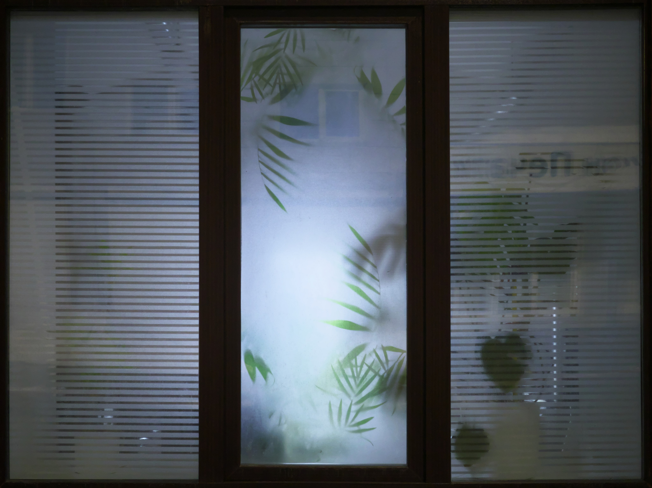 Окна. Миша Печёнкин | фотография