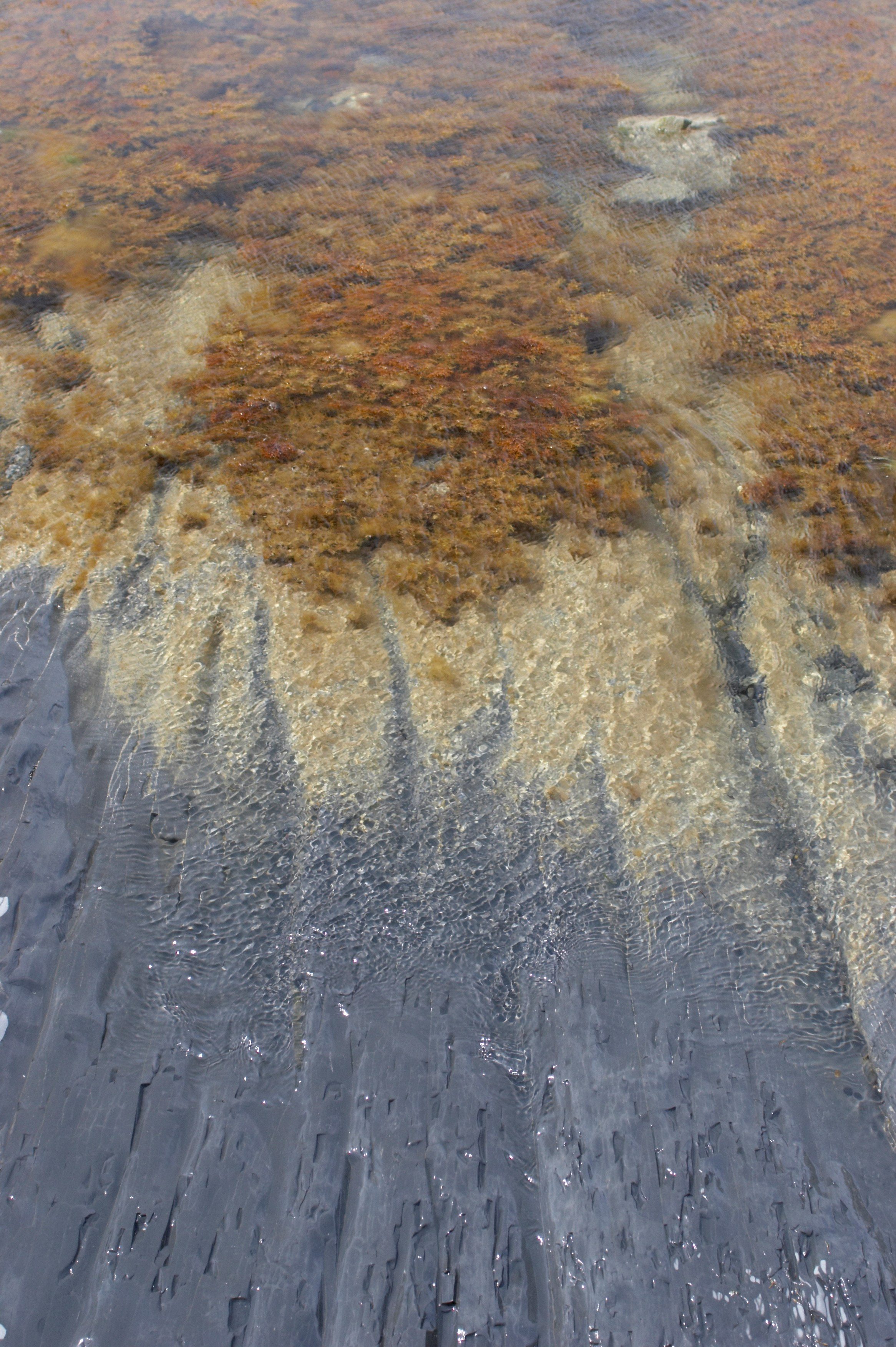 Море. Миша Печёнкин | фотография