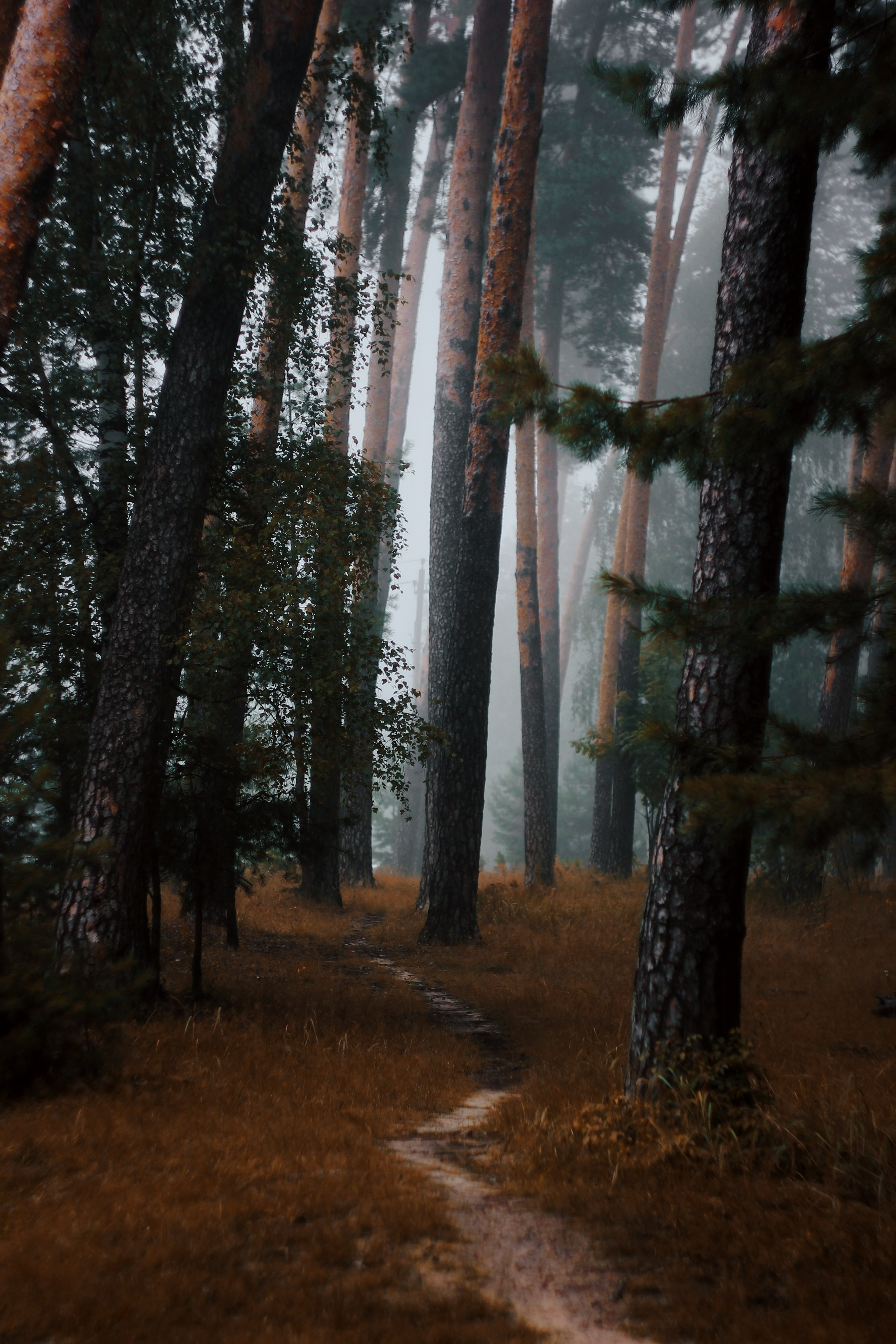 Меланхолия августа. С любовью, фотохудожник