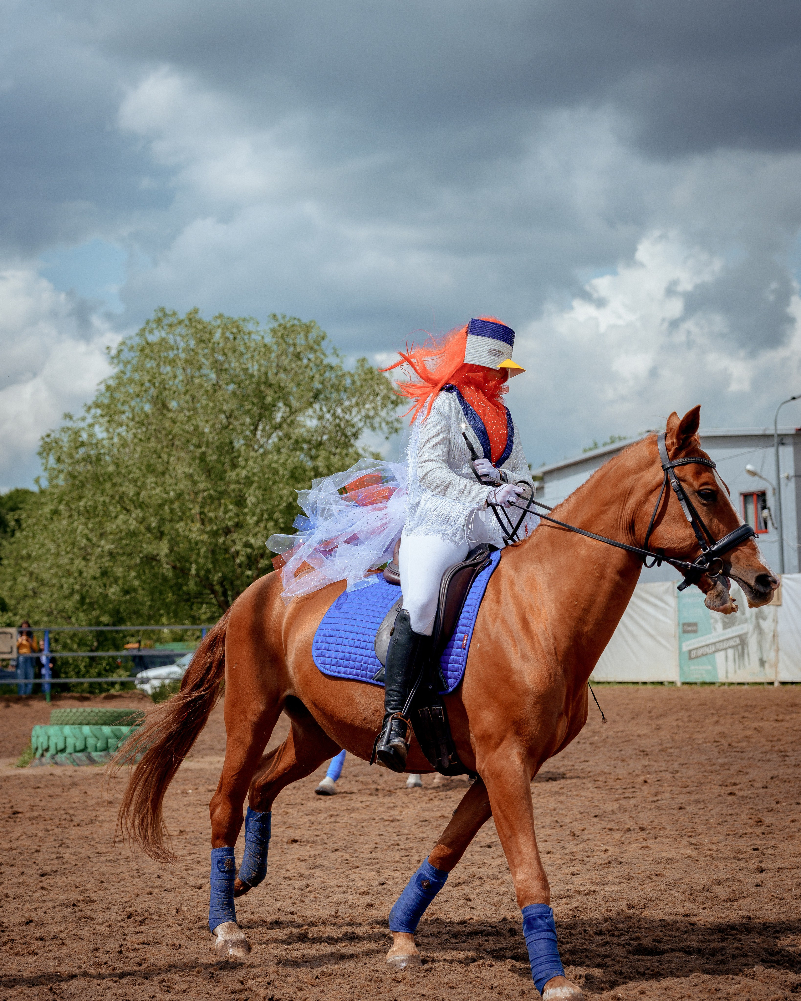 Конный клуб Горки. Портретный и семейный фотограф в Москве/Видное