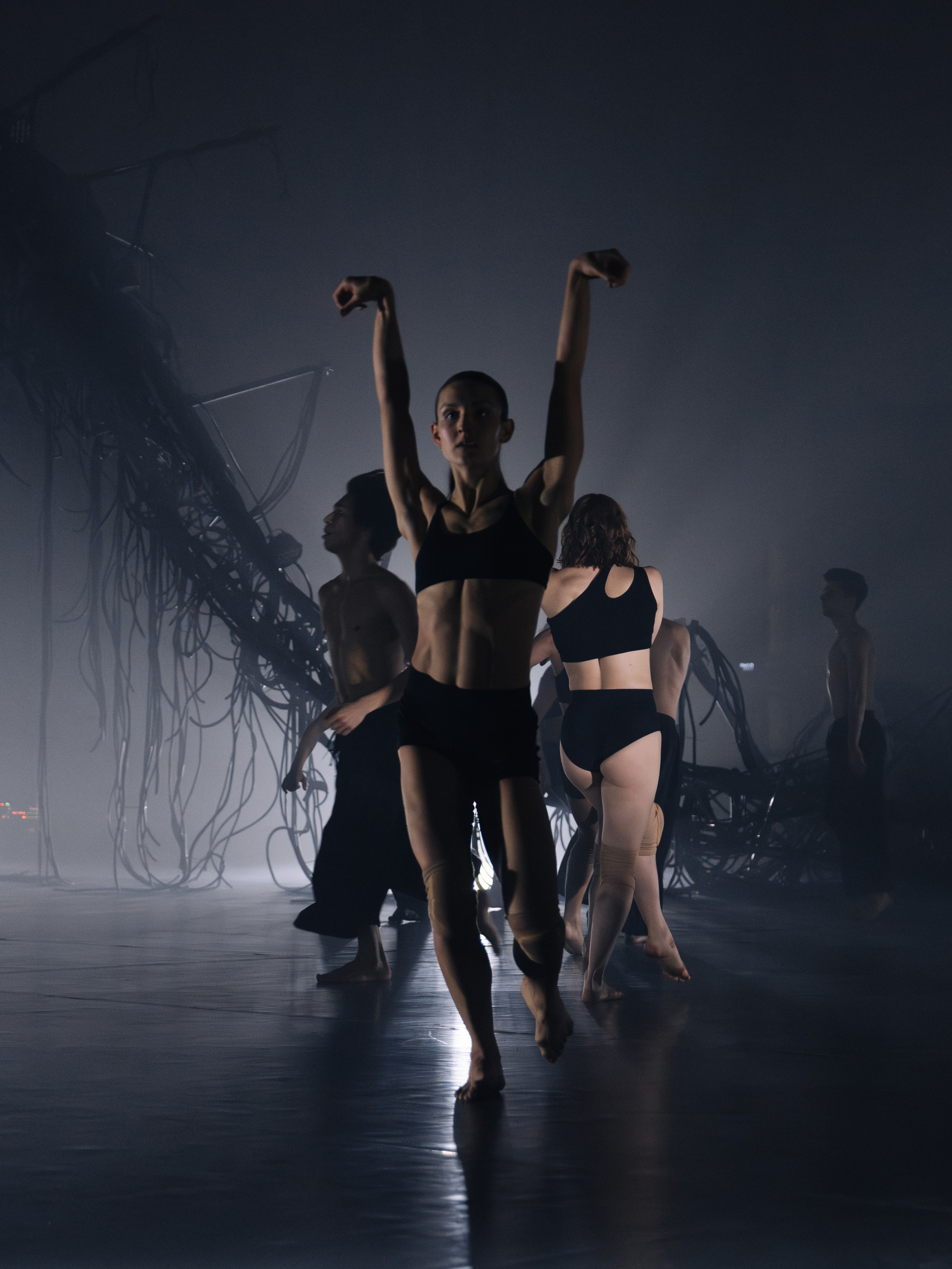 PERFORMA, The Hour of the Horse. @tomrus: Рустам Шагиморданов — фотограф