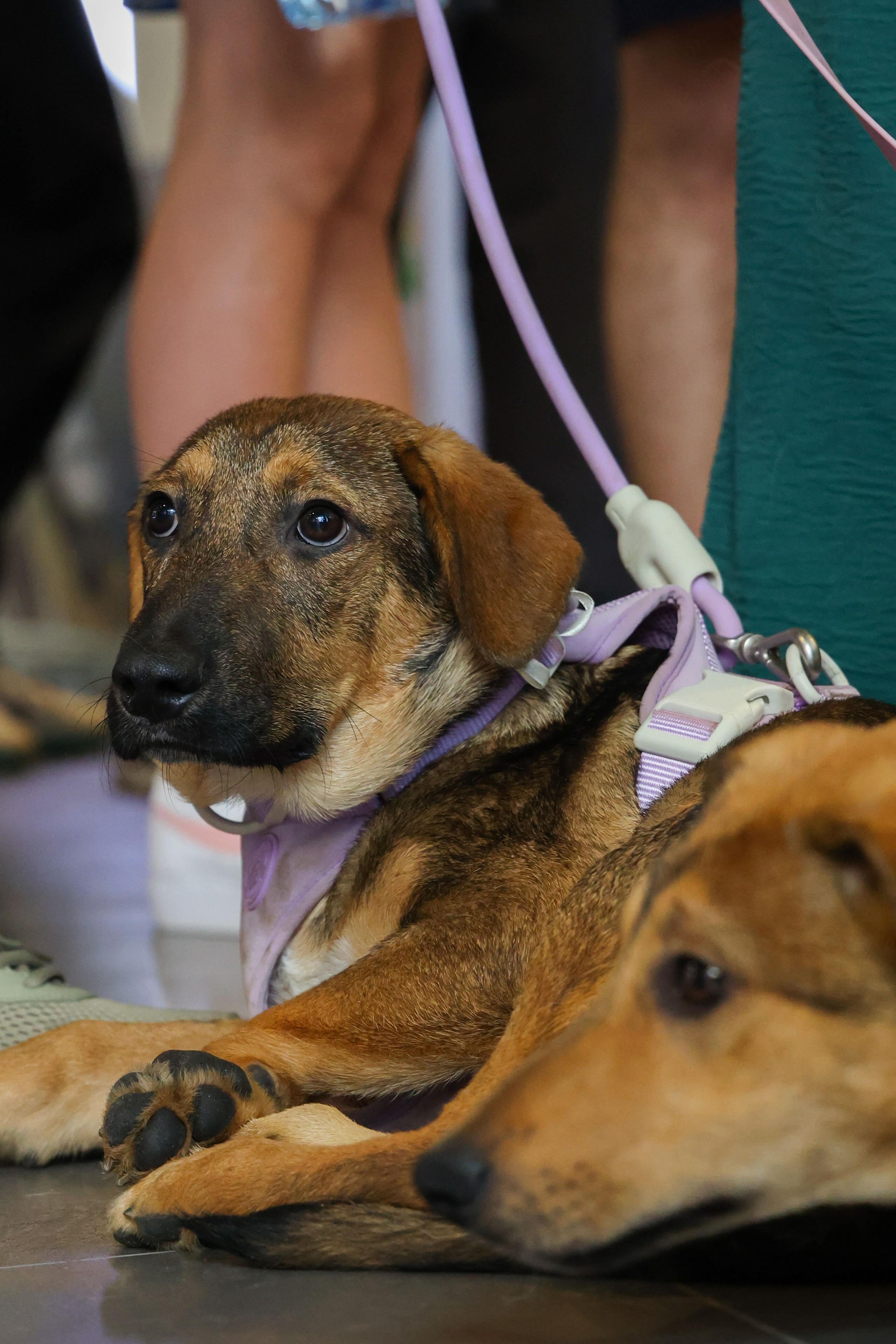 ECO FEST. Фотограф Вадим Бодылев
