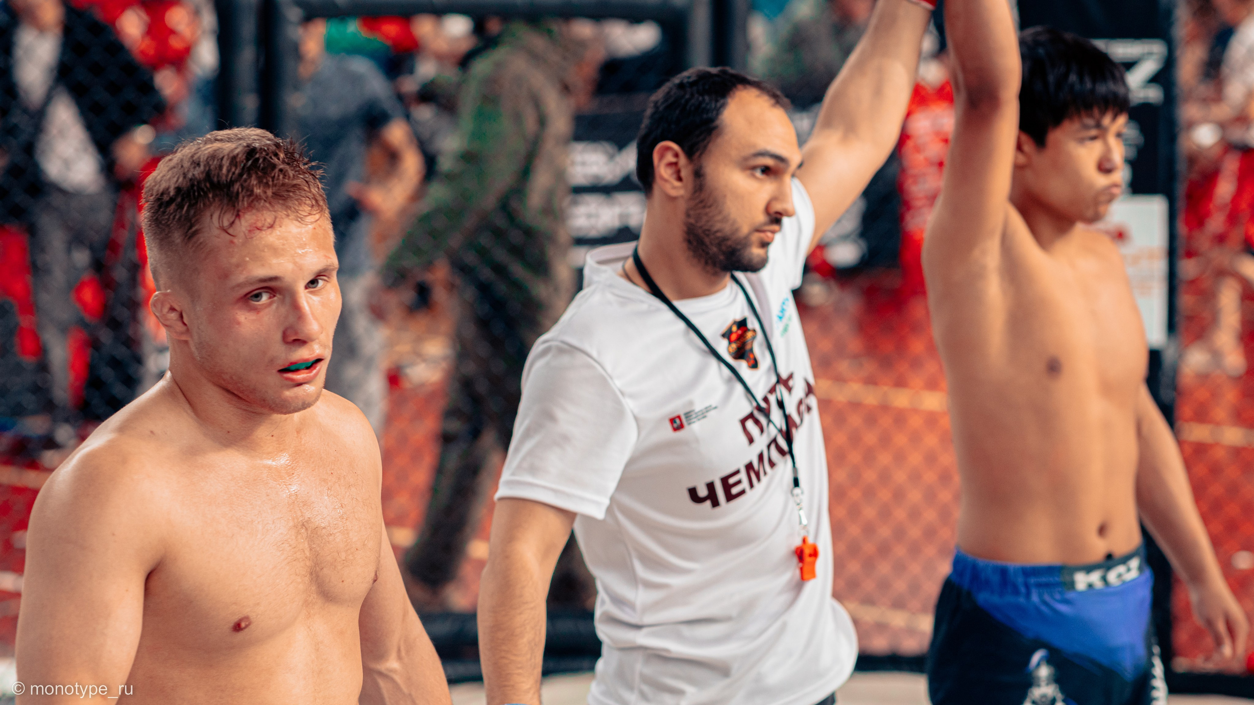 MMA. Бойцовский турнир