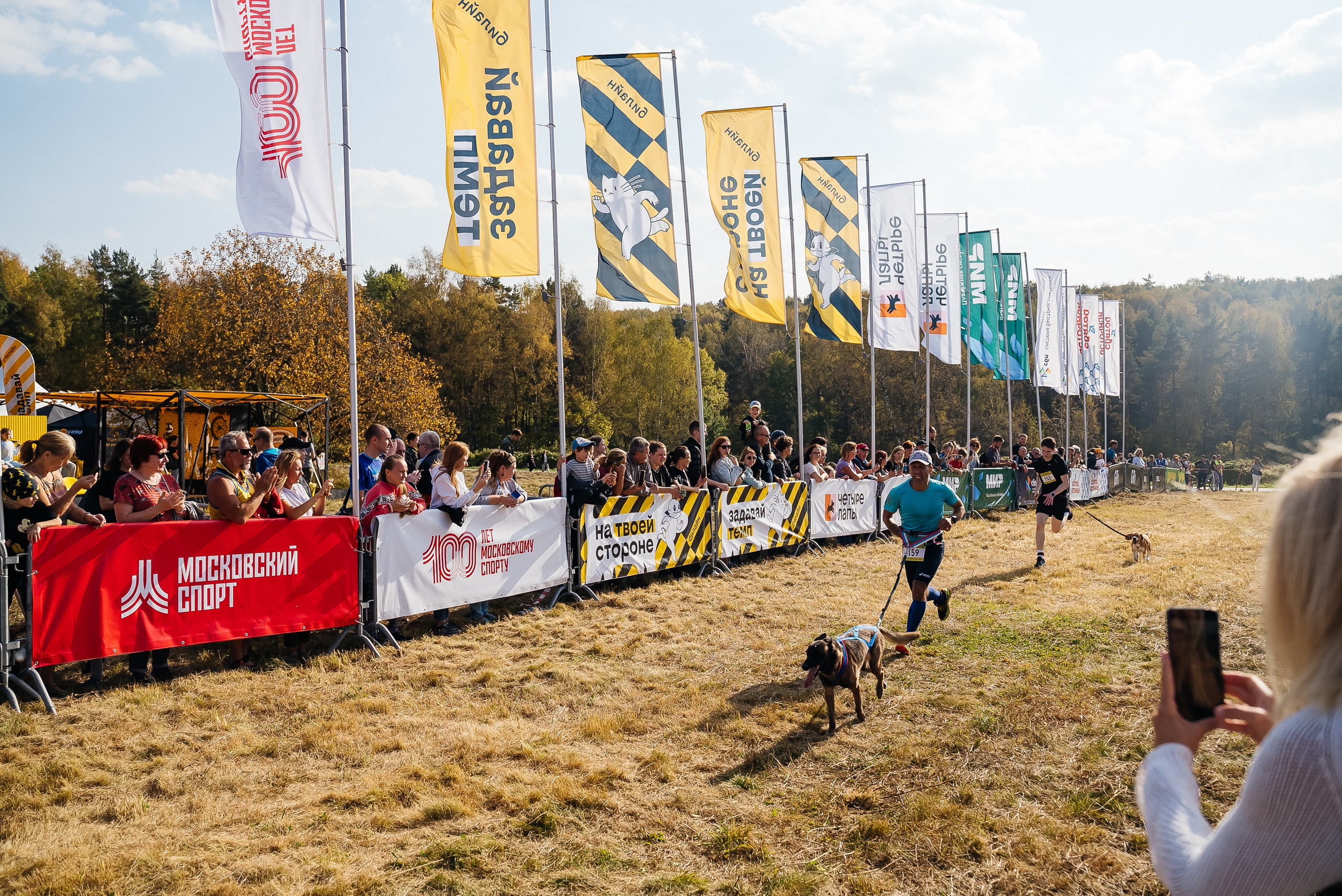 Билайн. Павел Краснов — Свадебный и репортажный фотограф в Москве