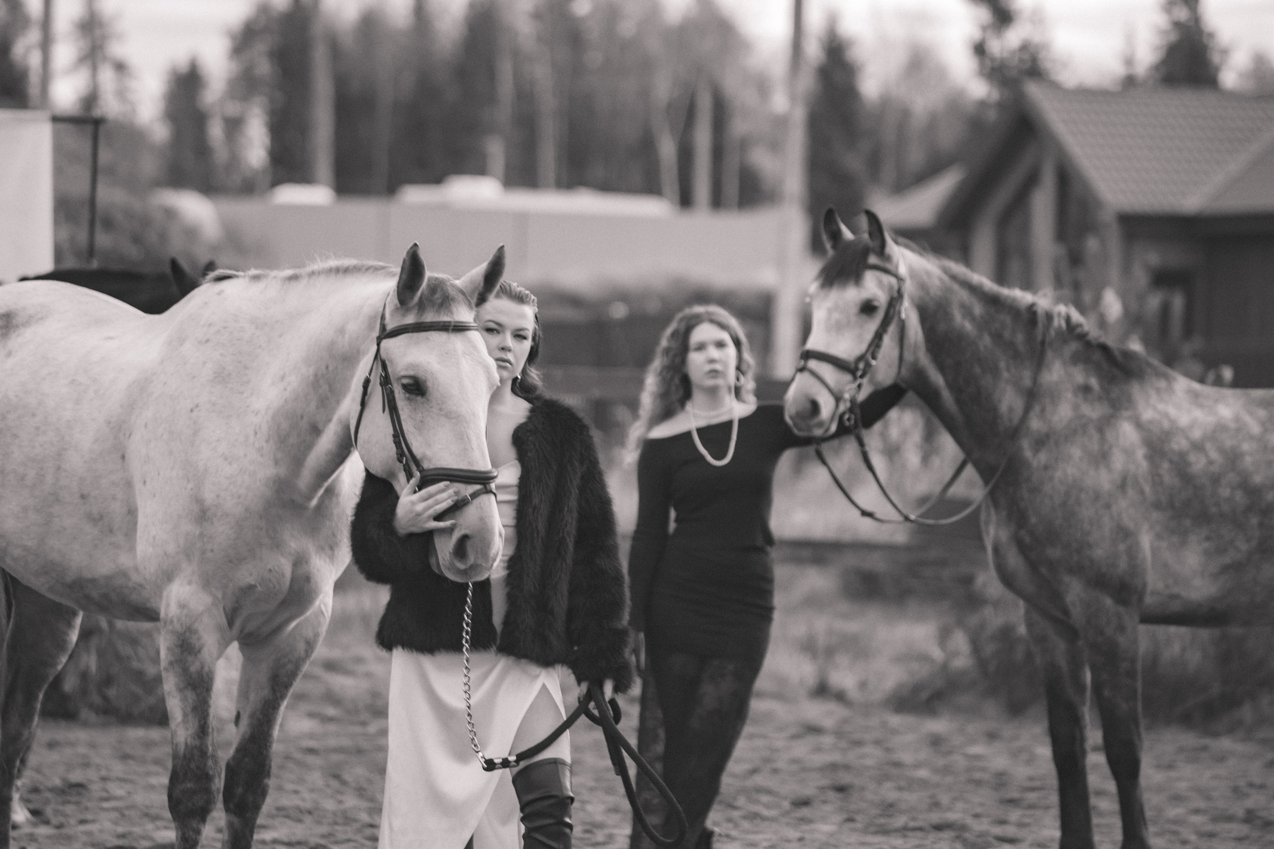 Проект DEFILE. Конный фотограф в Санкт-Петербурге Анна Лебедева