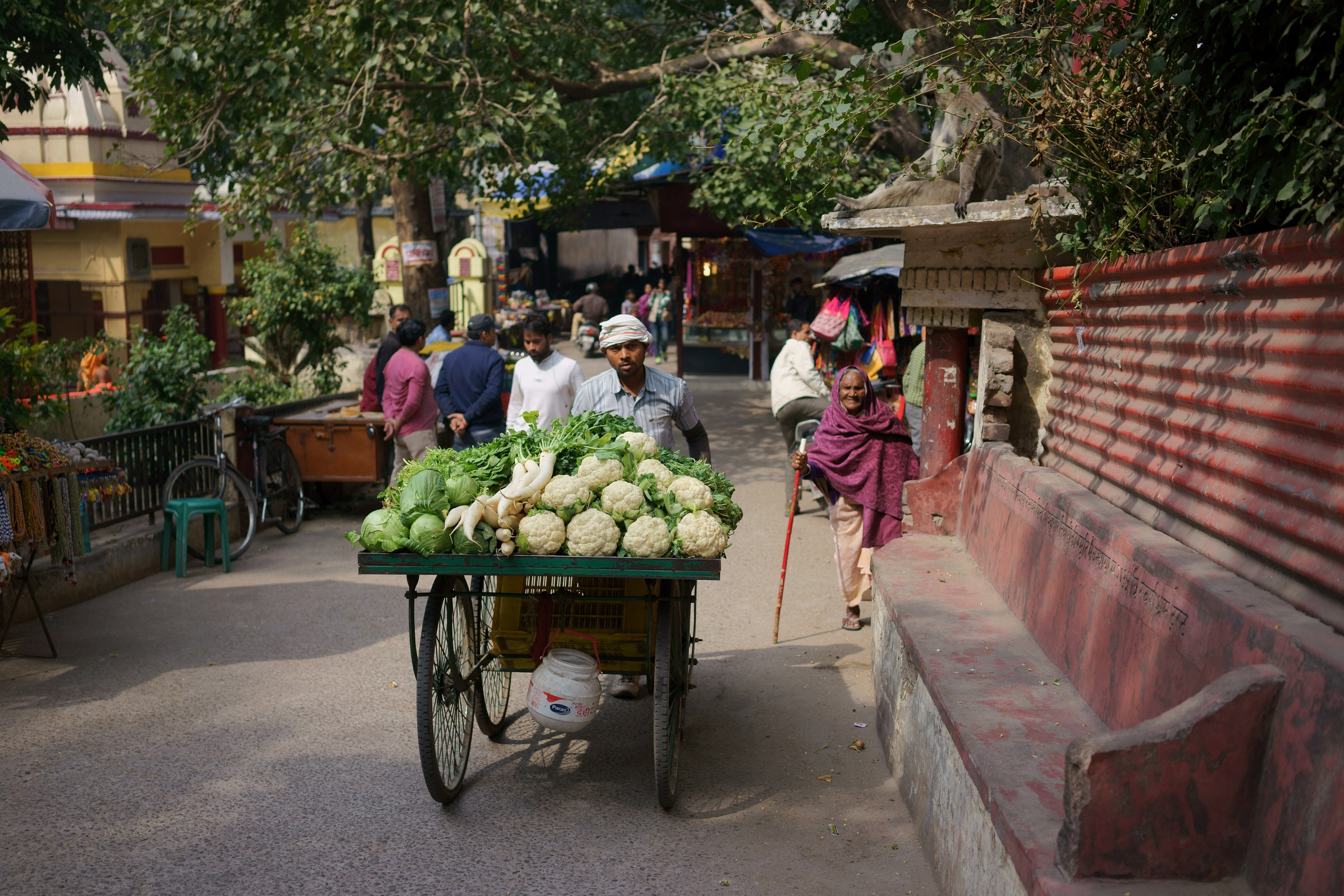 India. Cities and faces. Portrait and reportage photographer Rezeda Iuzmeeva