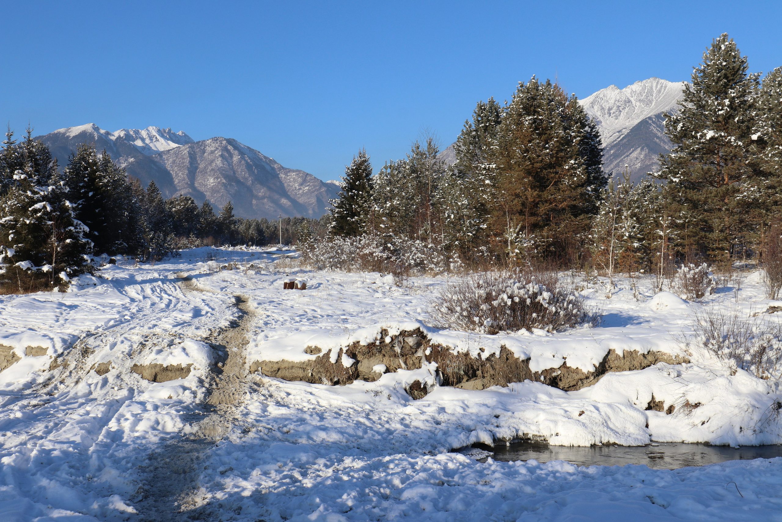 Аршан. Январь 2022. Путешественник-фотограф из Санкт-Петербурга Татьяна Свистулина