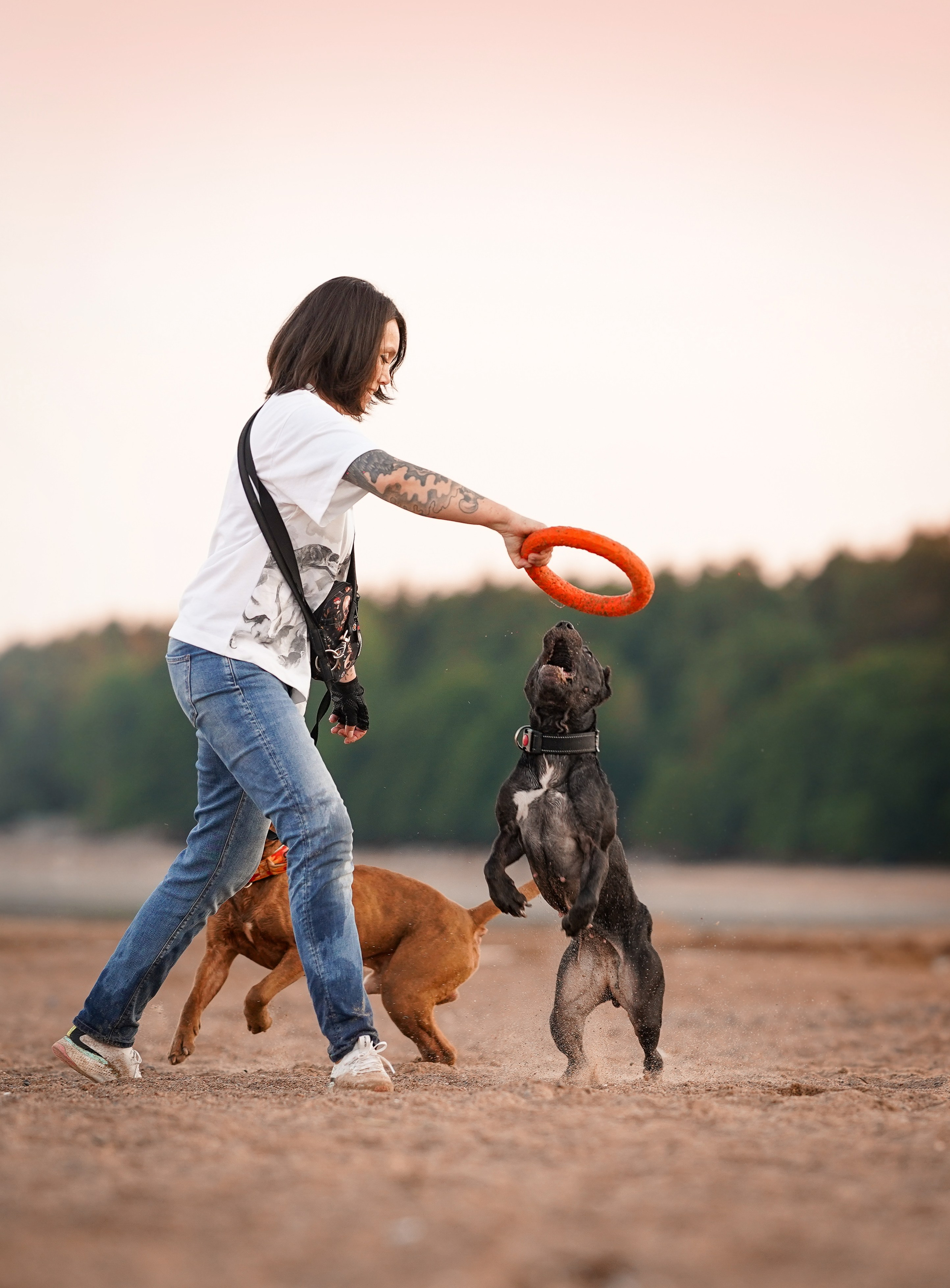 Татьяна Изи и Джем. Фотограф-анималист в Санкт-Петербурге Яна Мартынова