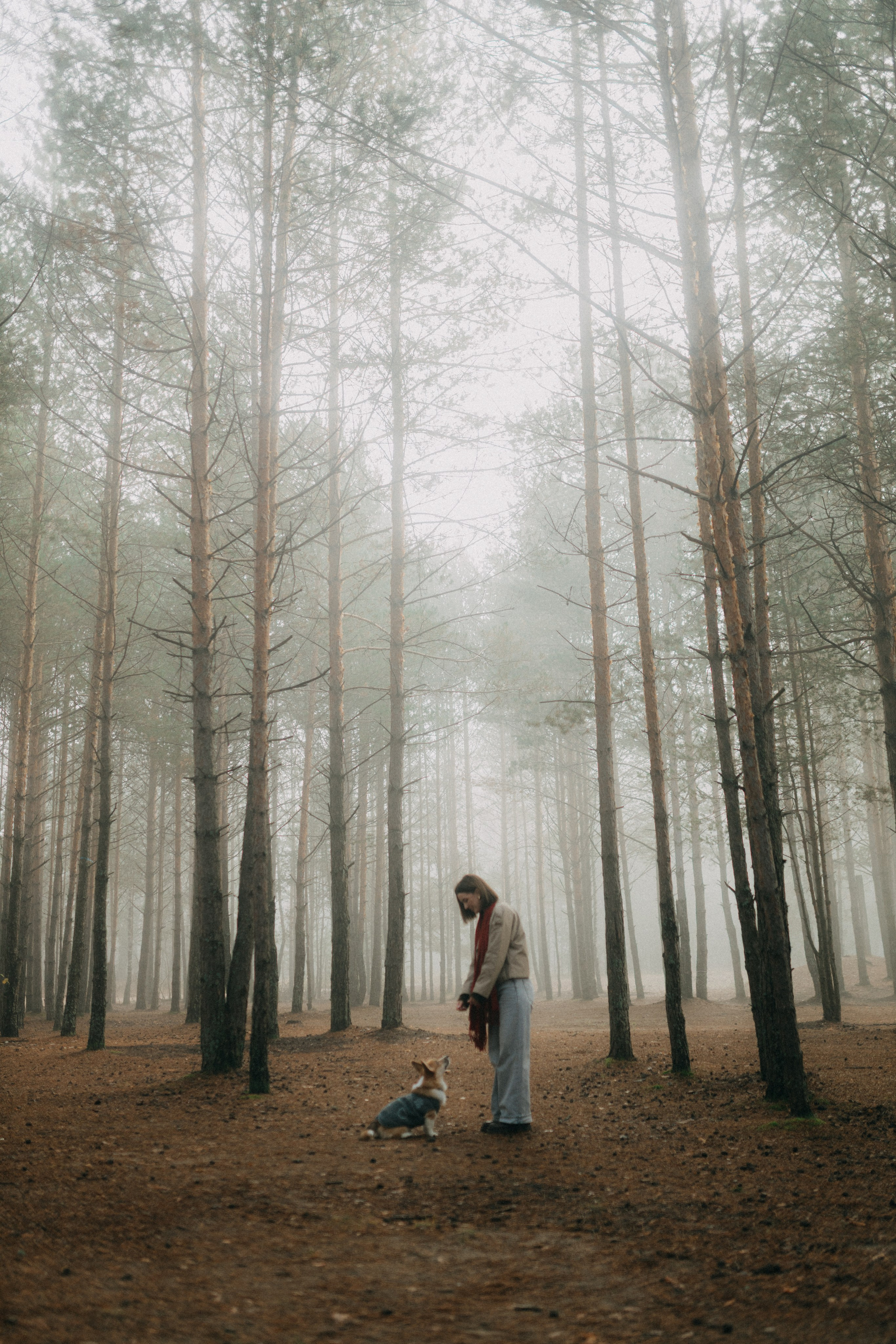 Алина. Фотограф НОГИНСК, Москва, Анастасия Белая