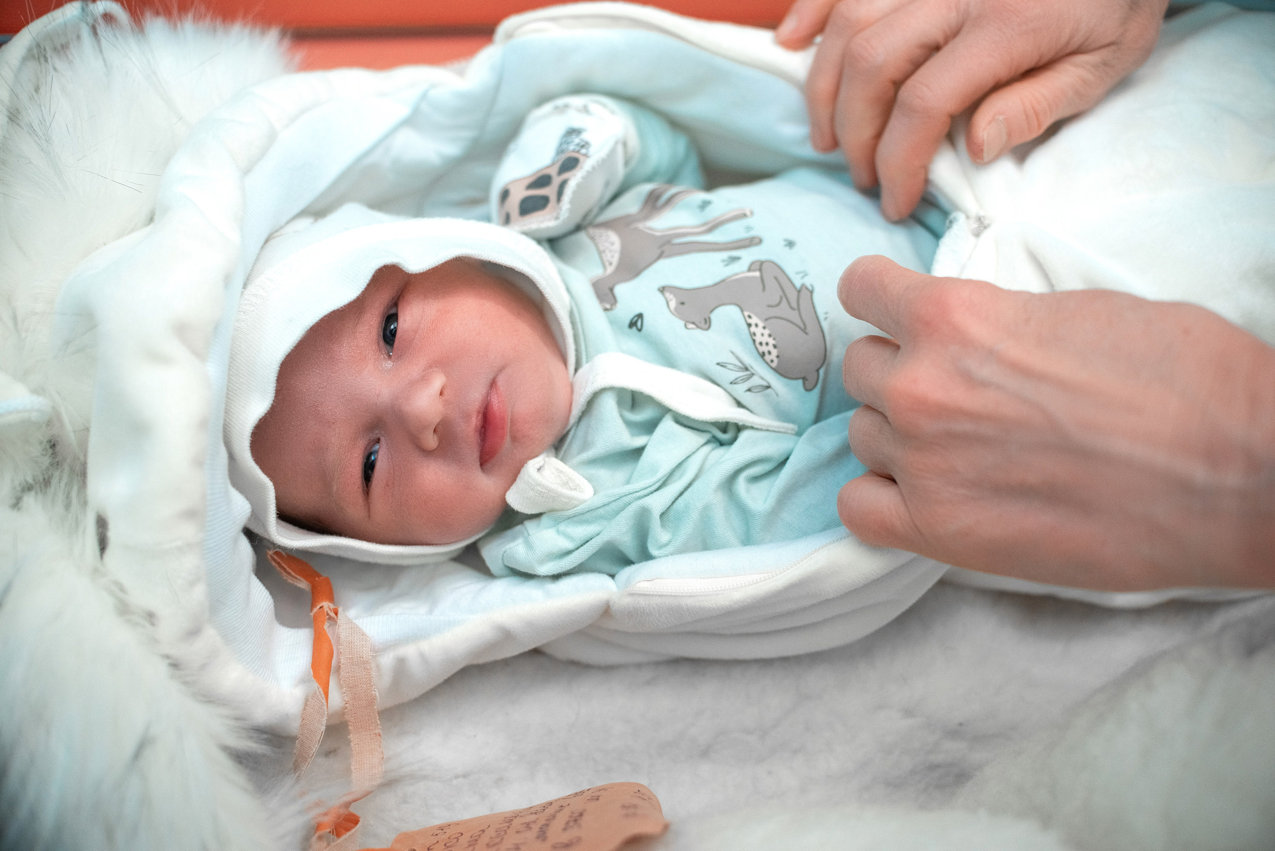 Выписка Алины 1 РД. Семейный фотограф на выписку из роддома и крещение Минск Настя Гришук