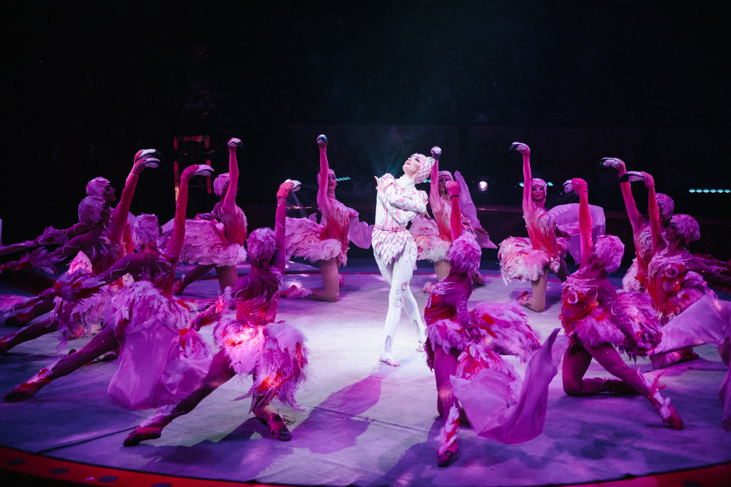 Королевский Цирк Гии Эрадзе. Репортажный и портретный фотограф в Санкт-Петербурге Степлевич Дарья