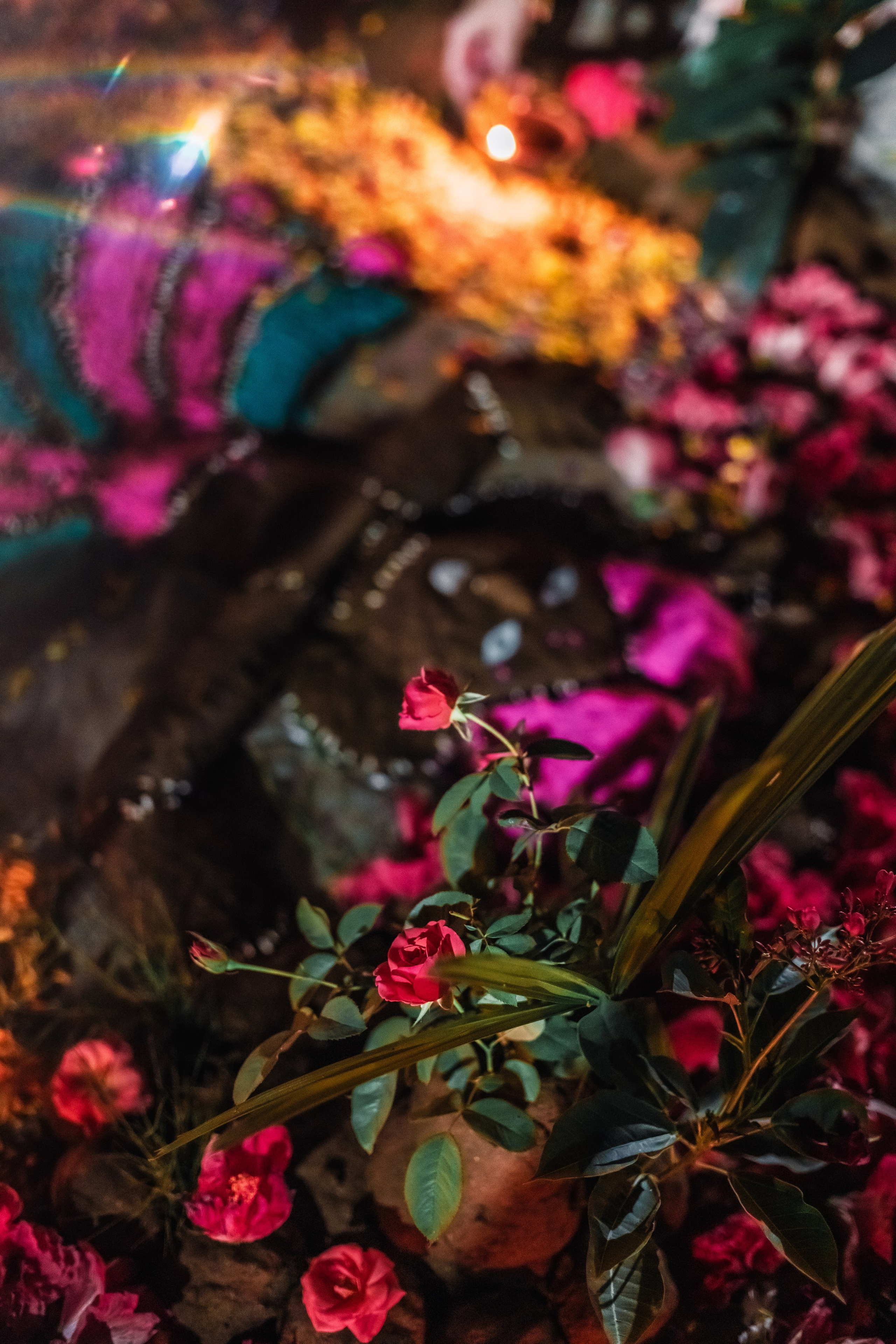 Govardhana puja. Мариам Багдасарян