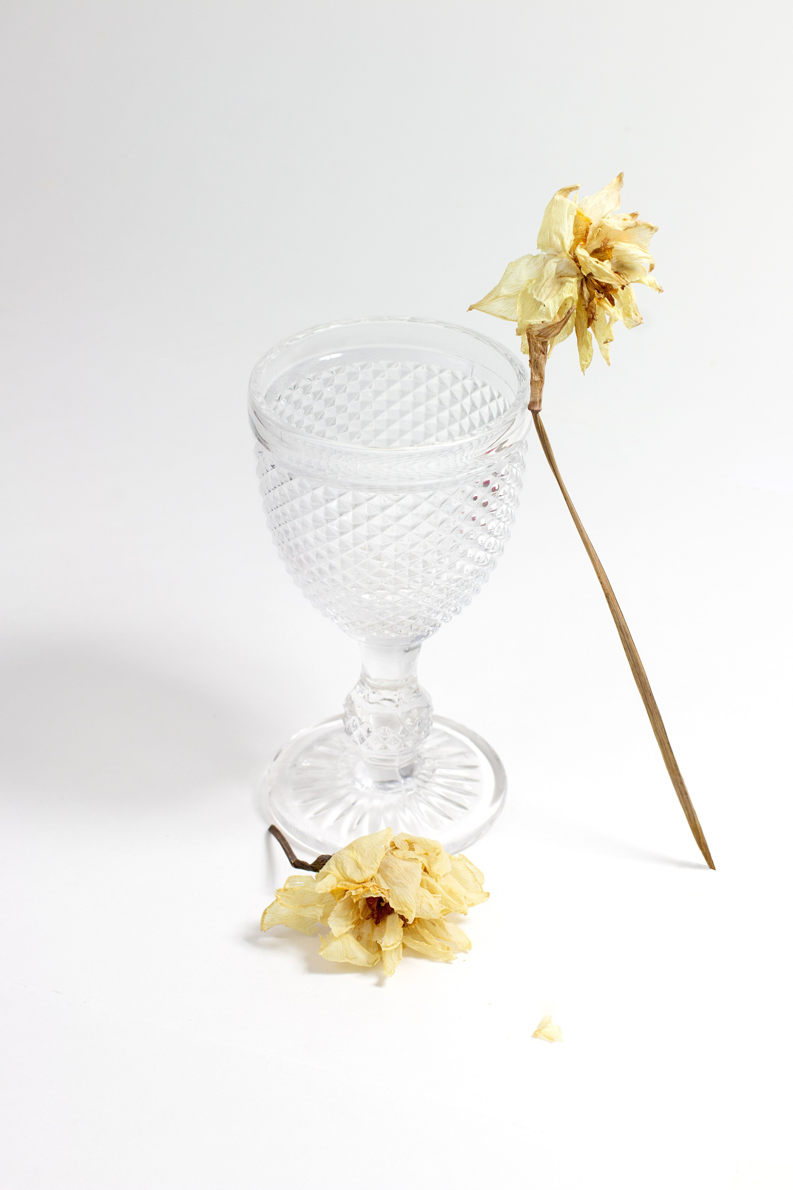 Предметная фотография. Фотограф Злата Спицына