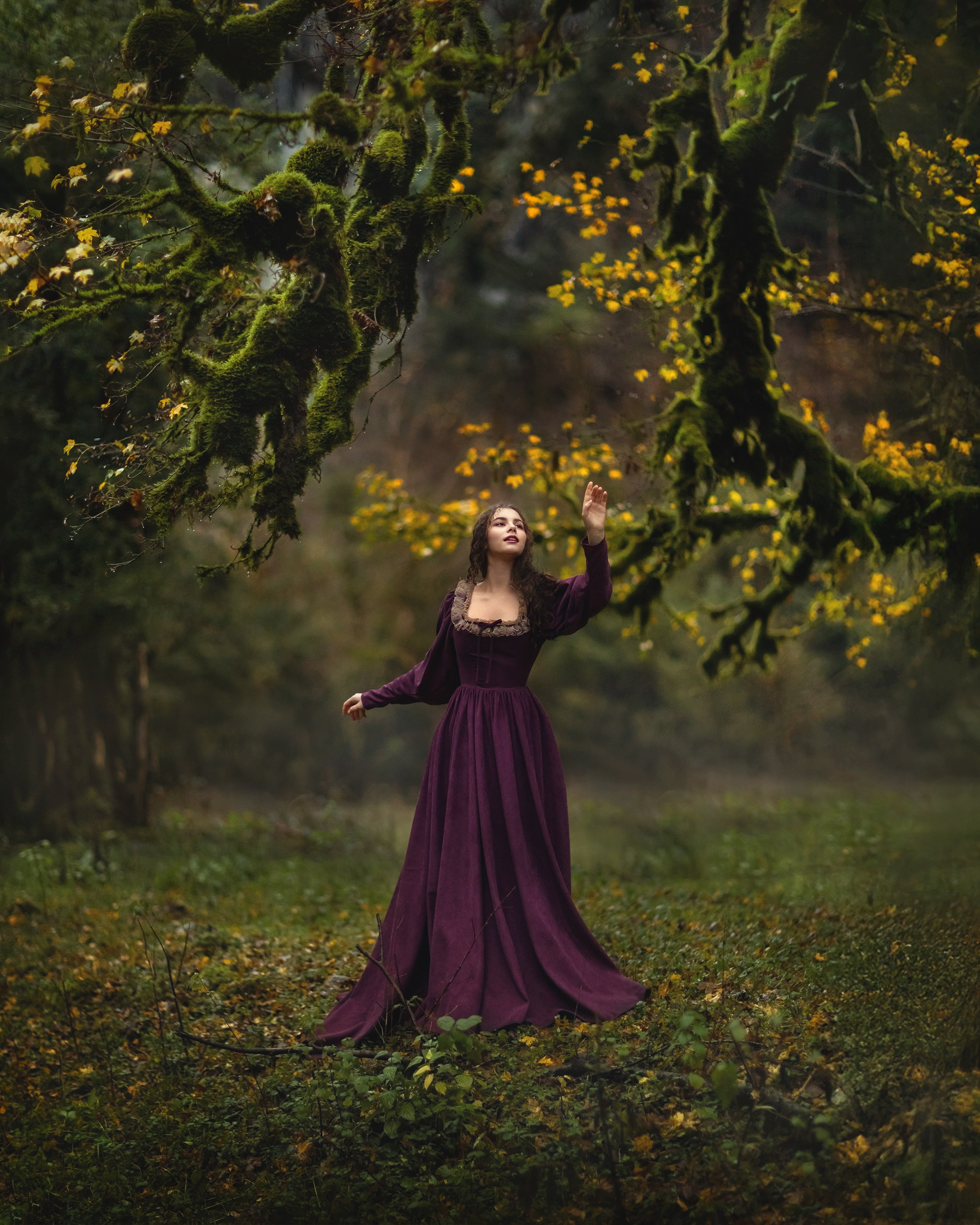 Самшитовый лес. Детский и семейный фотограф Елена Михайлова в Москве