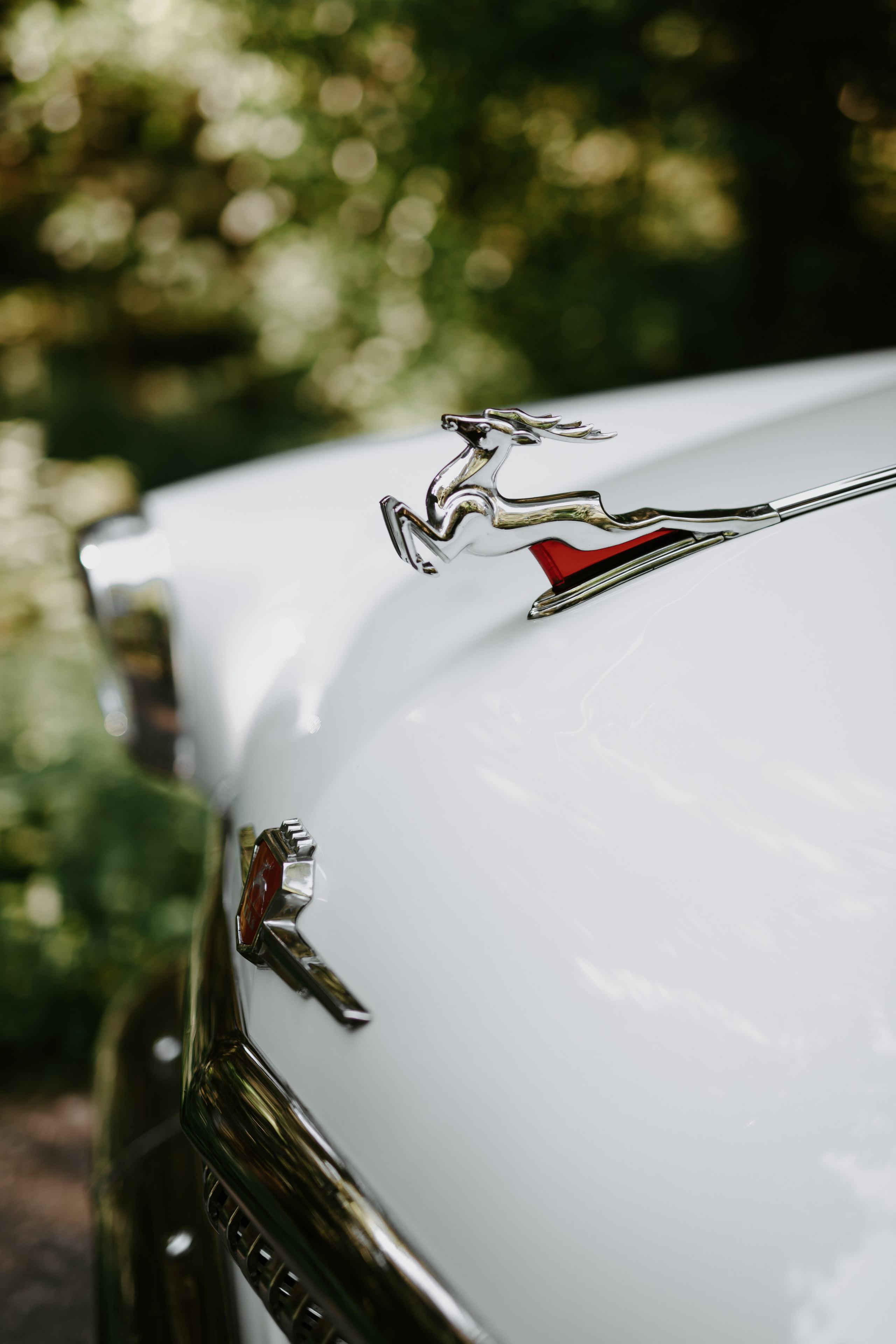 Свадьба Кирилла и Дарьи. Фотограф Кольчугино/Владимир/Москва Елизавета Иода