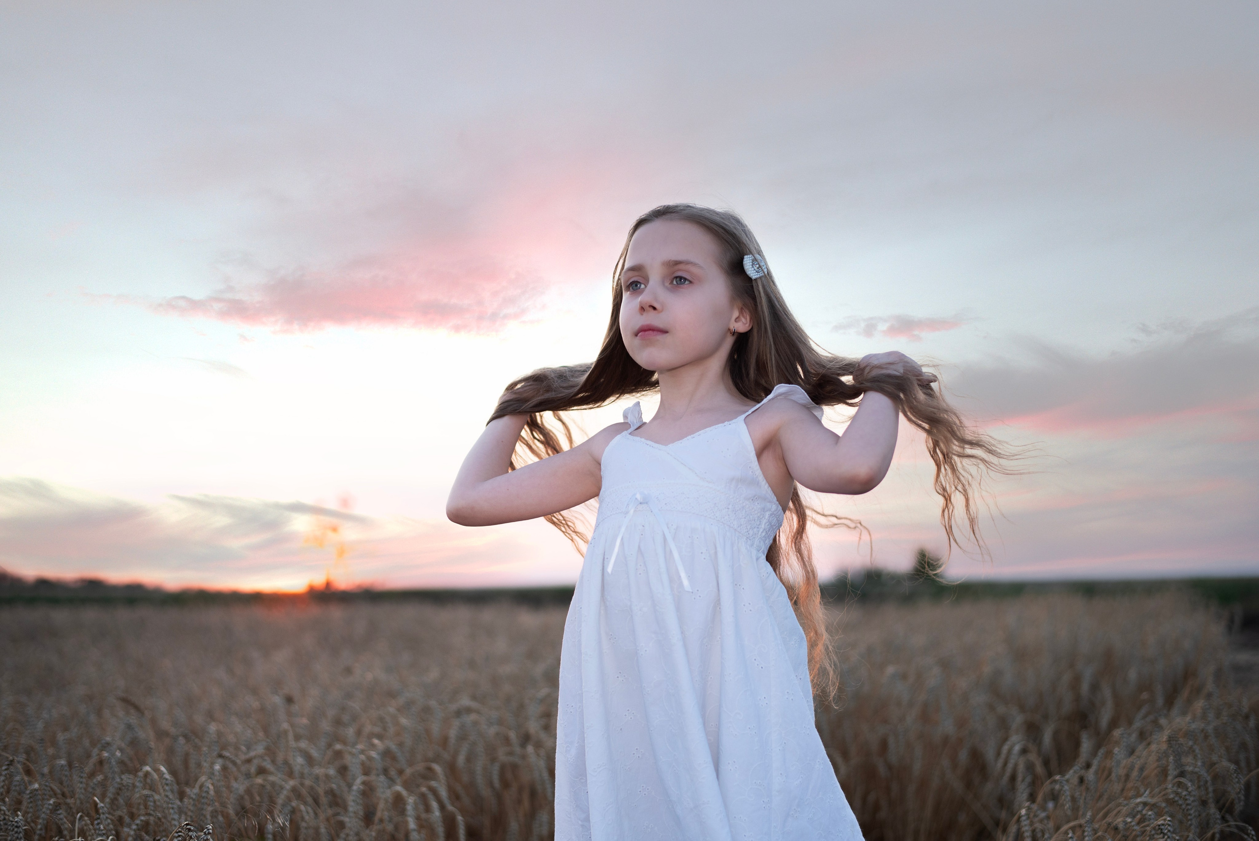 Поле пшеницы. Главная