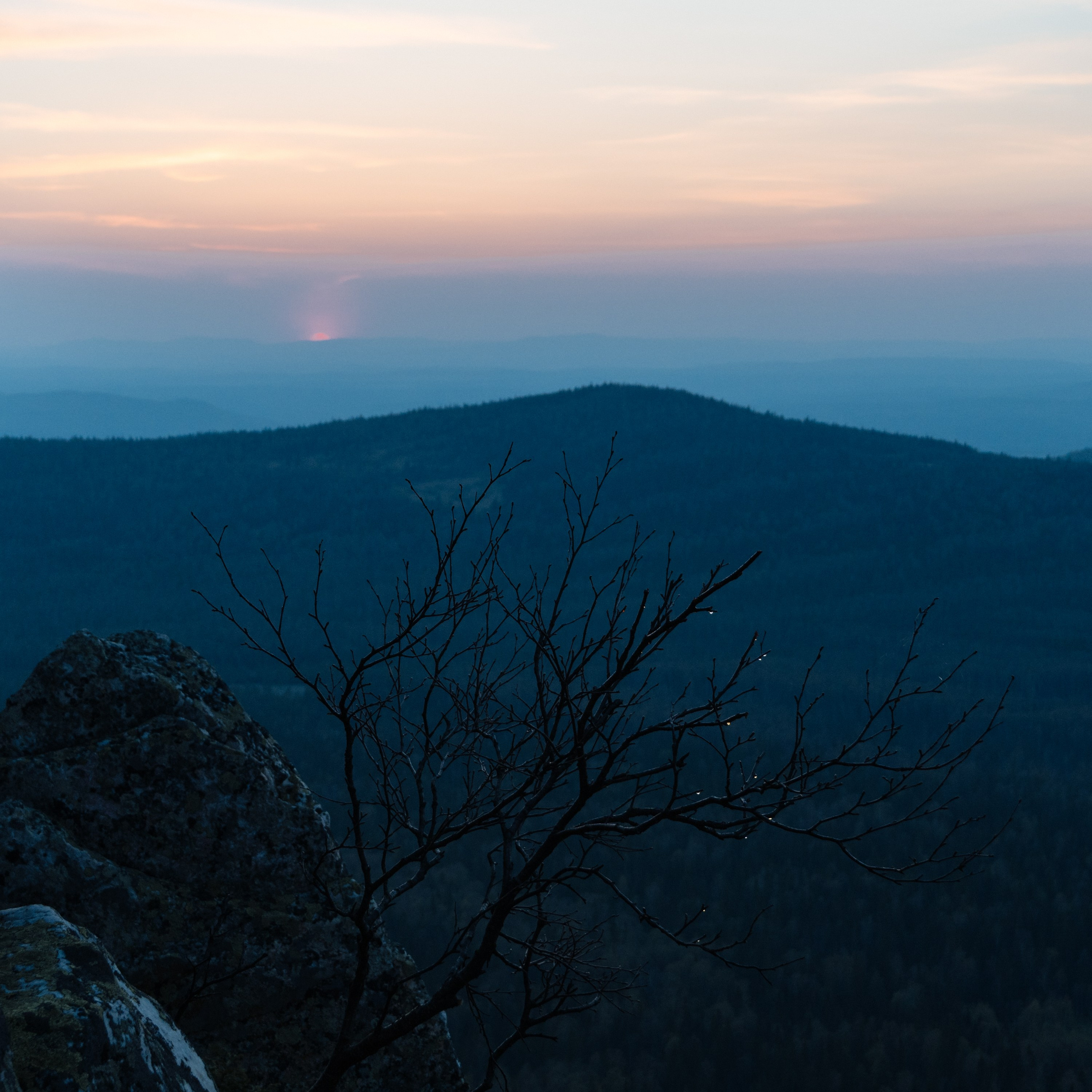 Пейзаж от Ольги Пановой. Интерьерный и архитектурный фотограф в Москве Панова Ольга