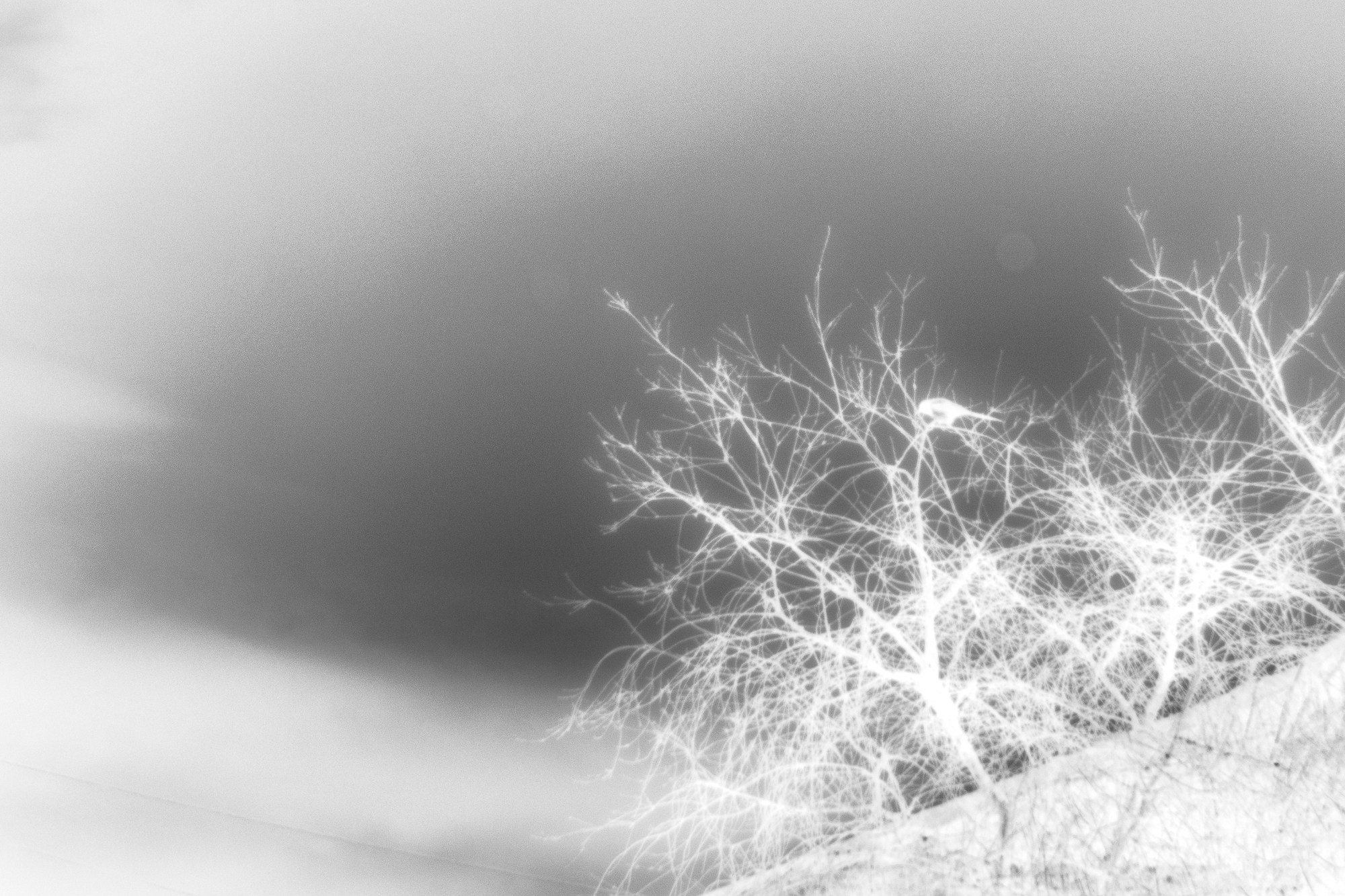 По ту сторону зимы. Женский семейный фотограф Тула Москва Захарова Анна