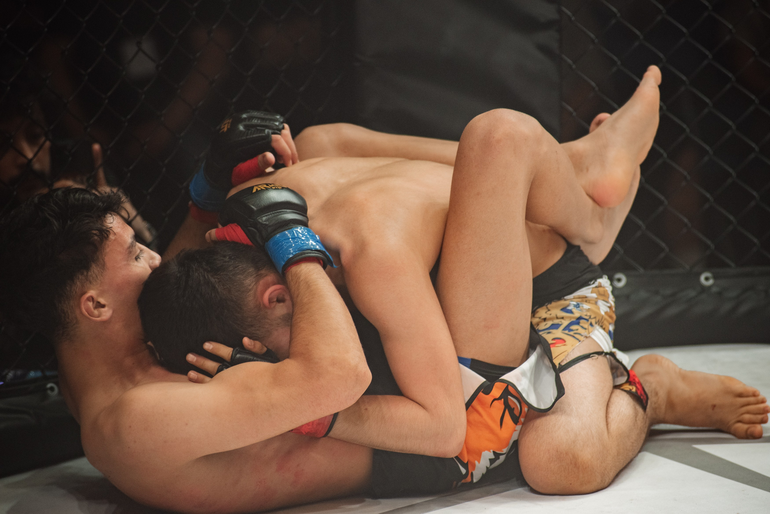 Miroslava Fight