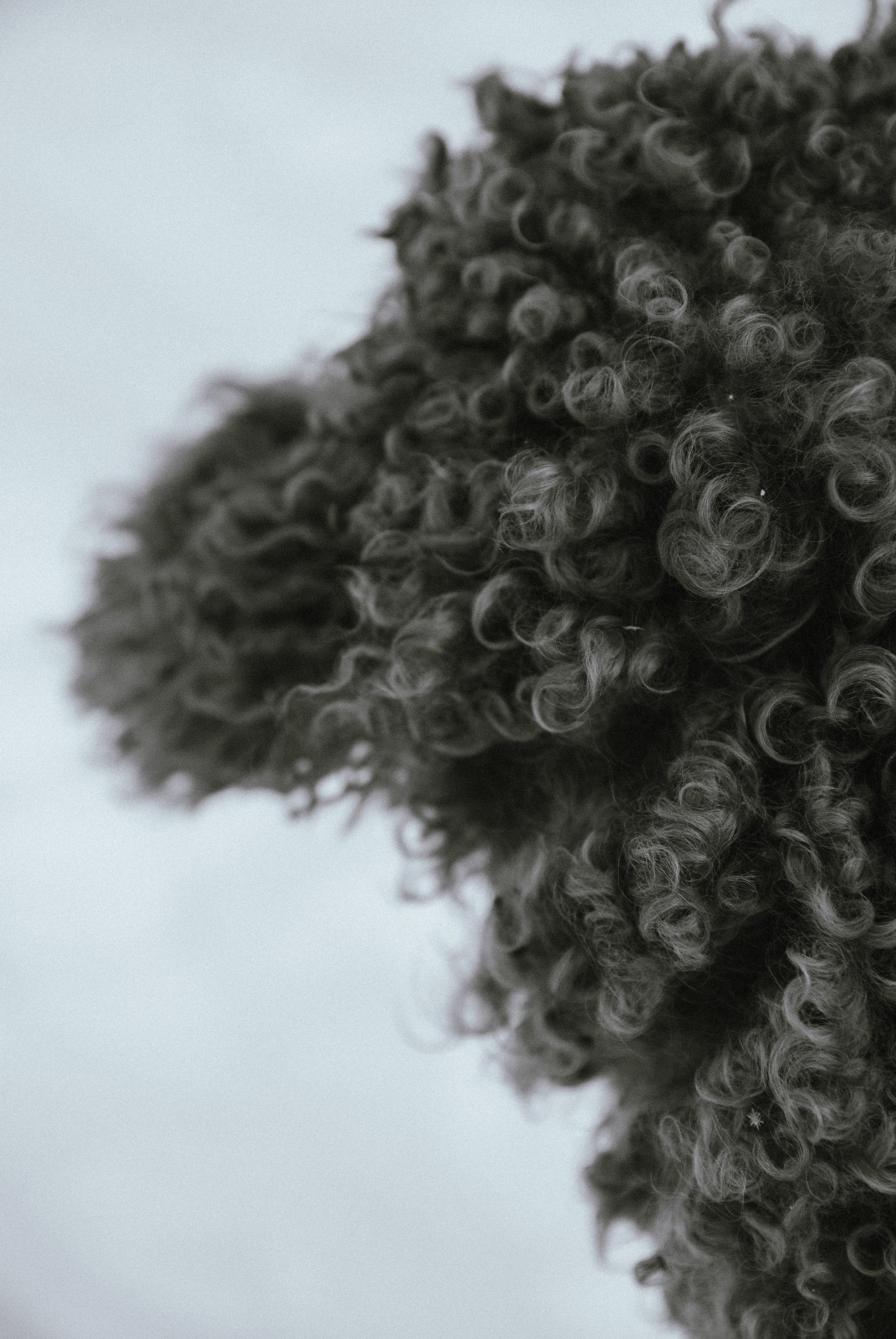 Зоопарк в моём багаже. Кошенкова Мария: портретный и репортажный фотограф. Санкт-Петербург