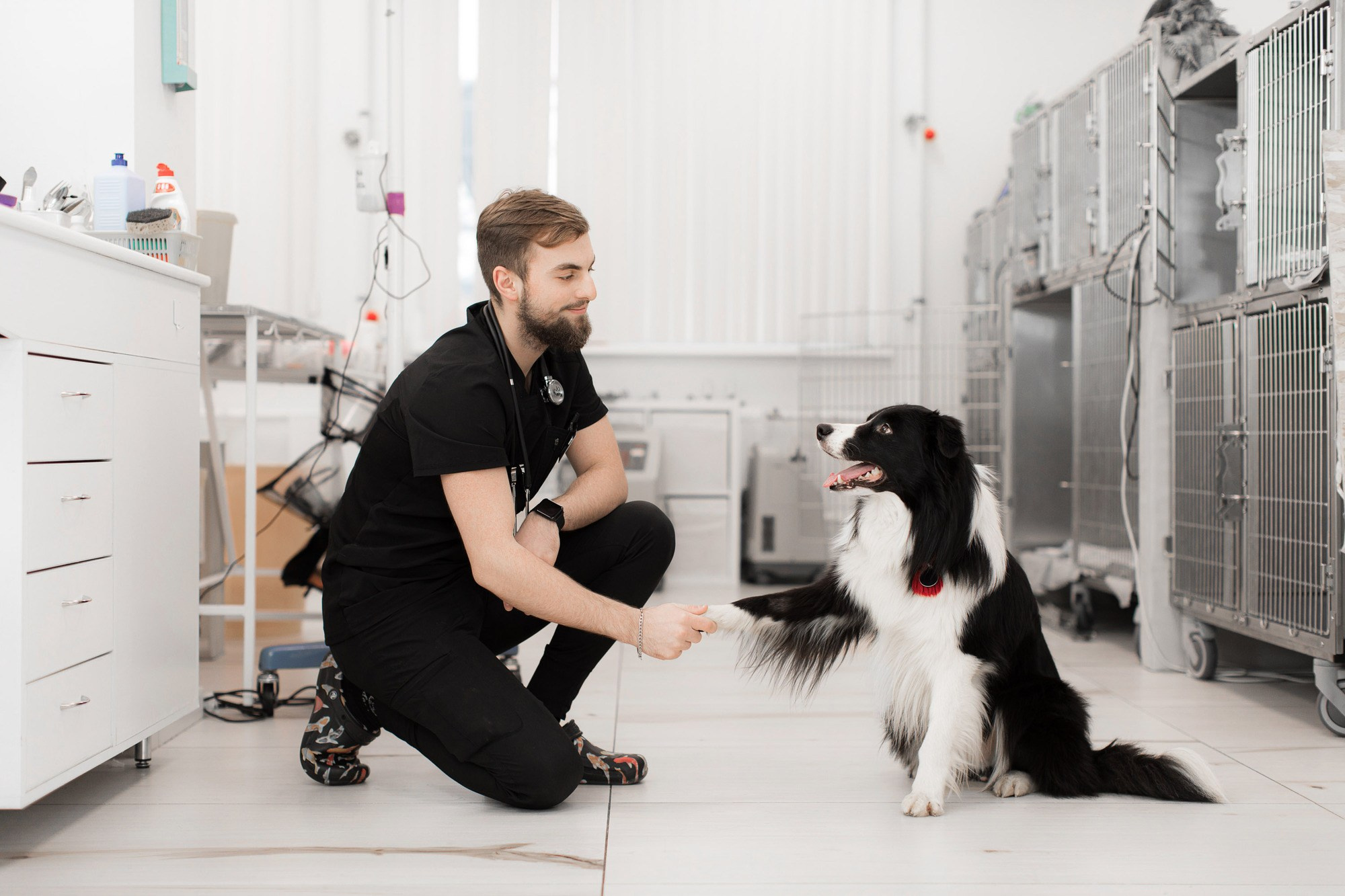 Рекламная фотосессия для ветеринарной клиники "Прайд"