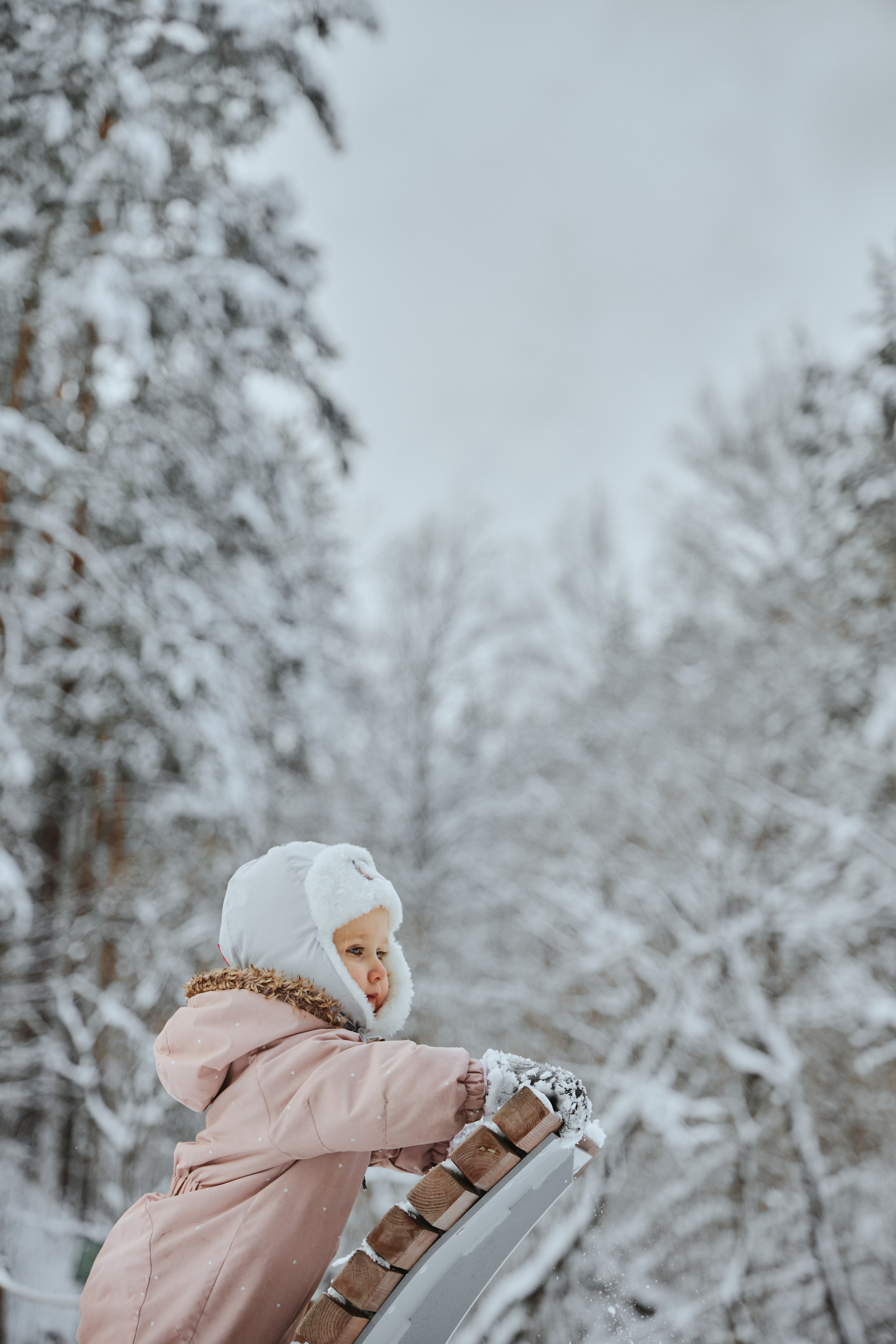 Зимняя прогулка. Фотограф Жанна Лефлер