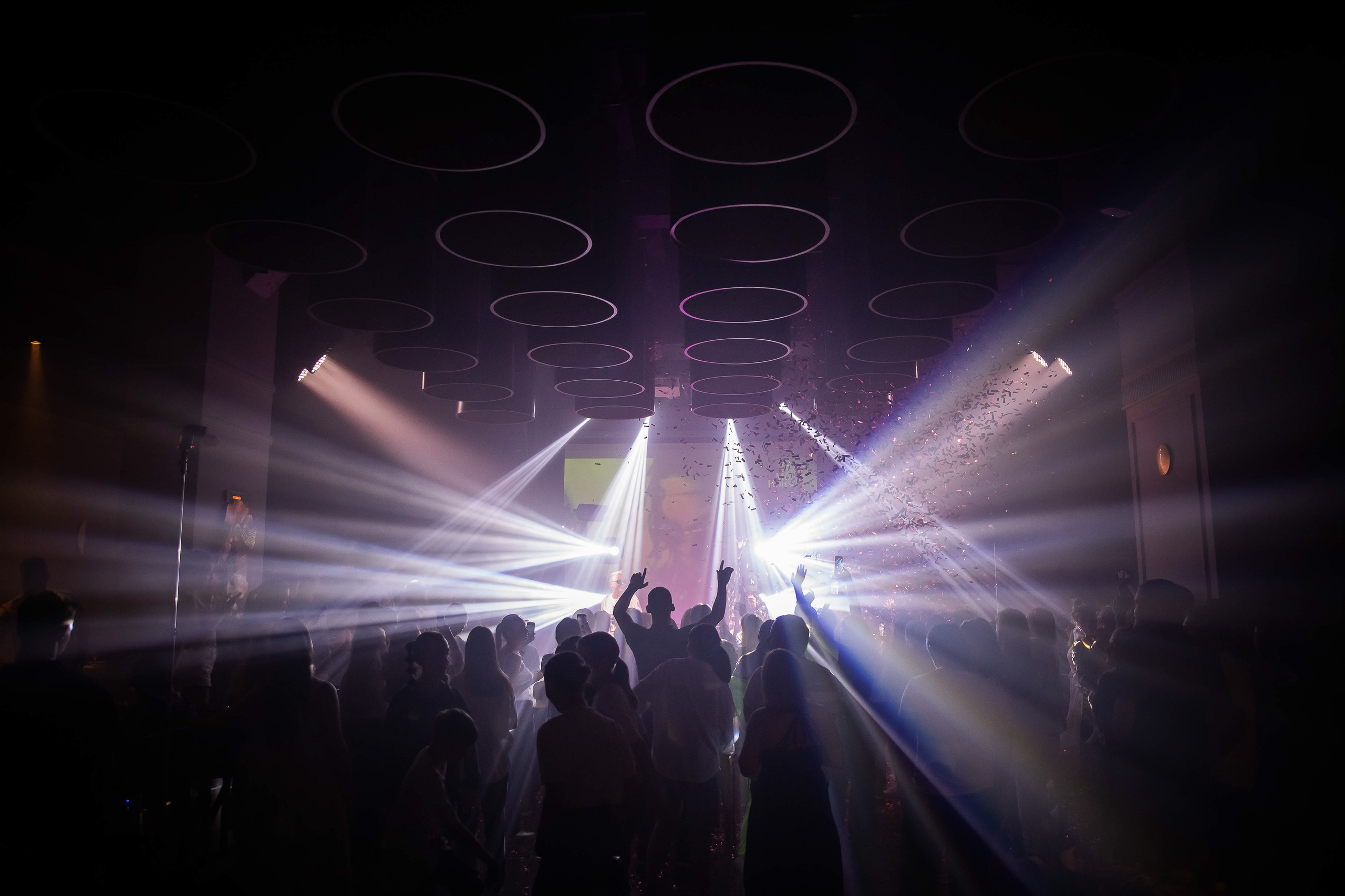 Отпетые мошенники в Mouse House. NesterovaMaria.ru