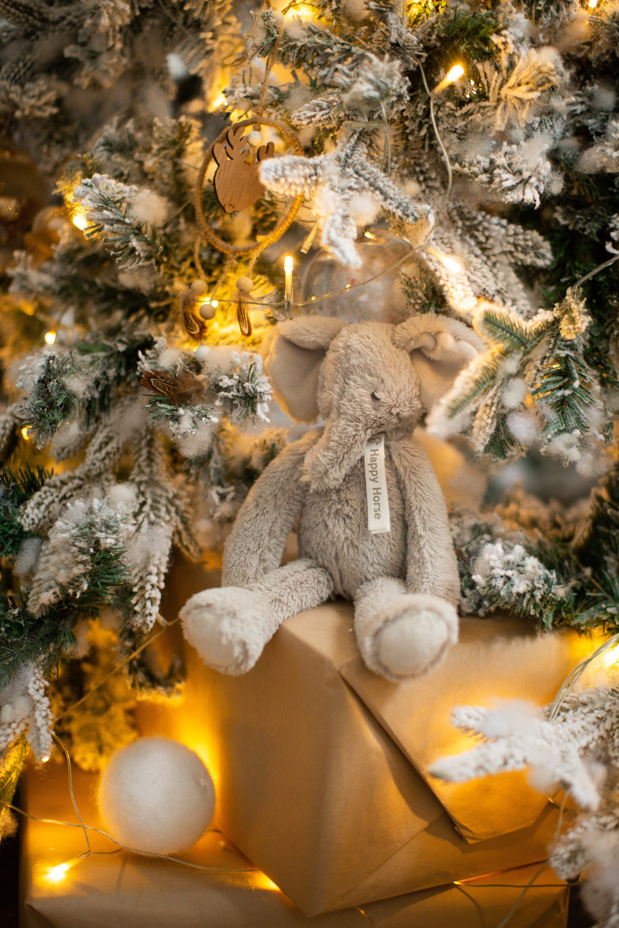 Нг24. Фотограф НатаФото (Наталья Яковенко) Дмитров Москва Питер