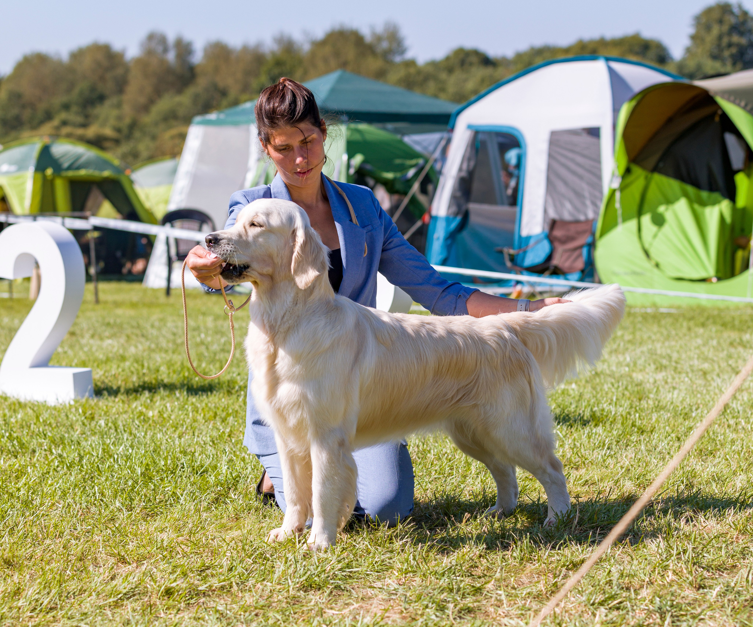 Выставки. Фотограф — анималист Татьяна Ли