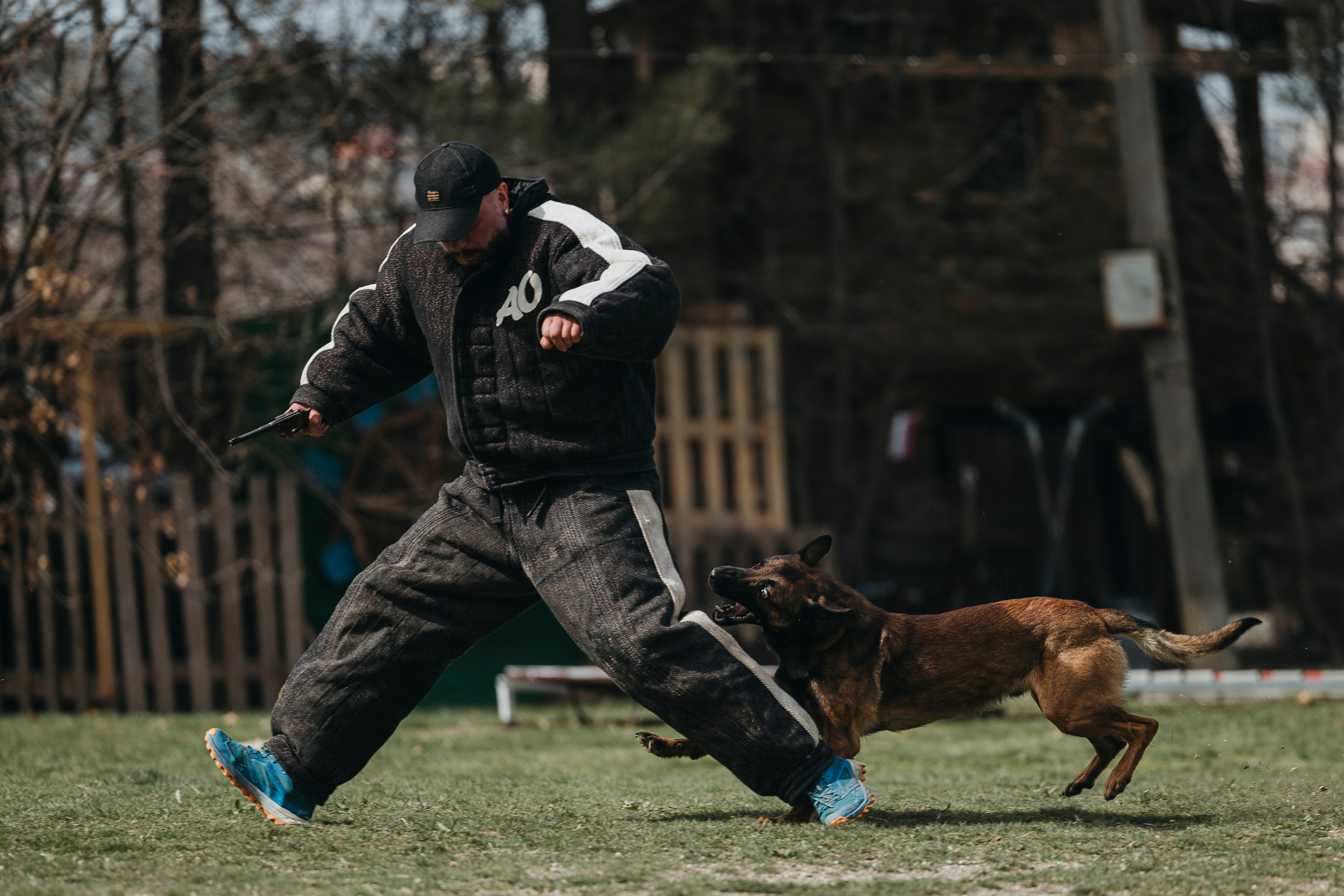 Геленджик Мондьоринг. Фотограф-анималист Анна Маринич